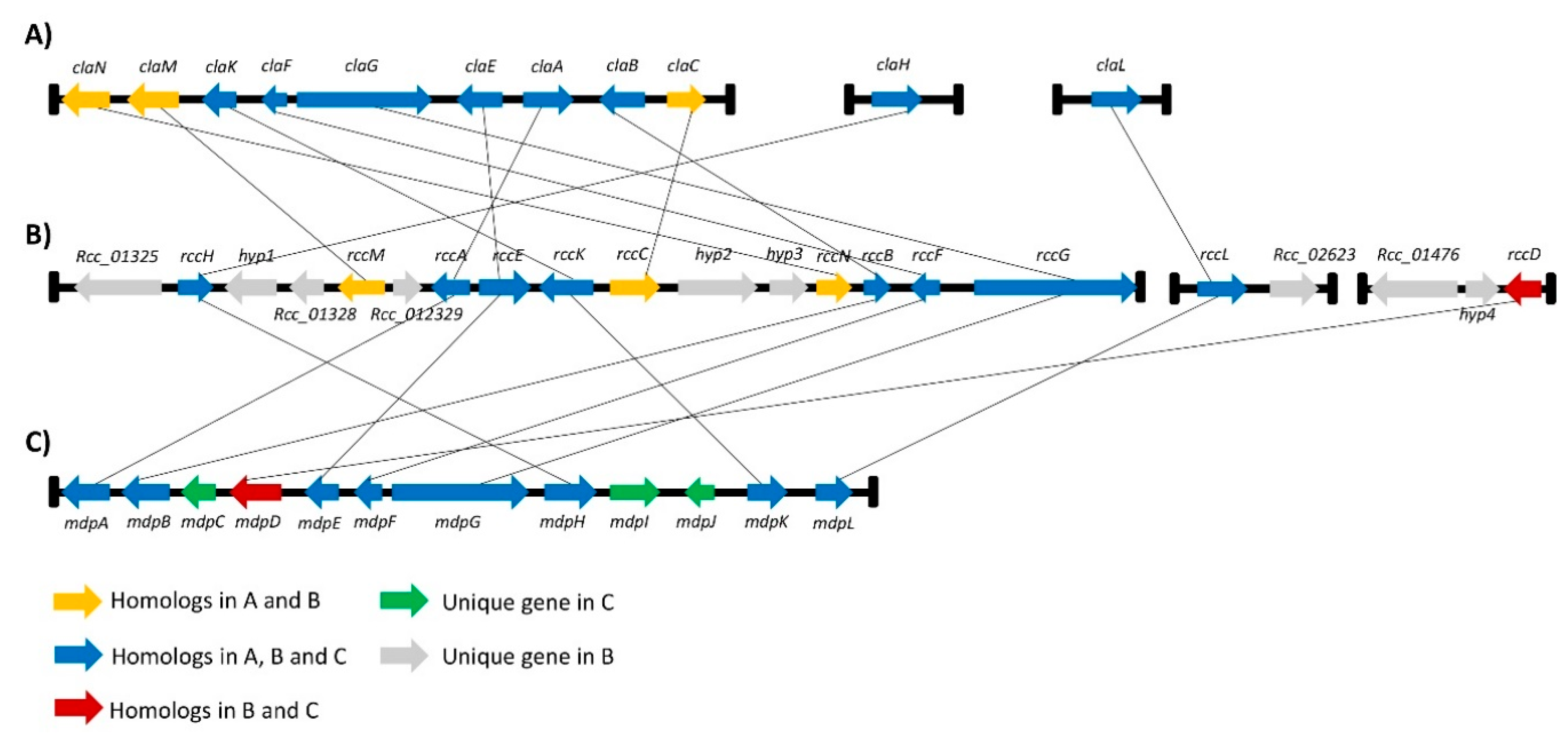 Ijms 23 03475 g003 550