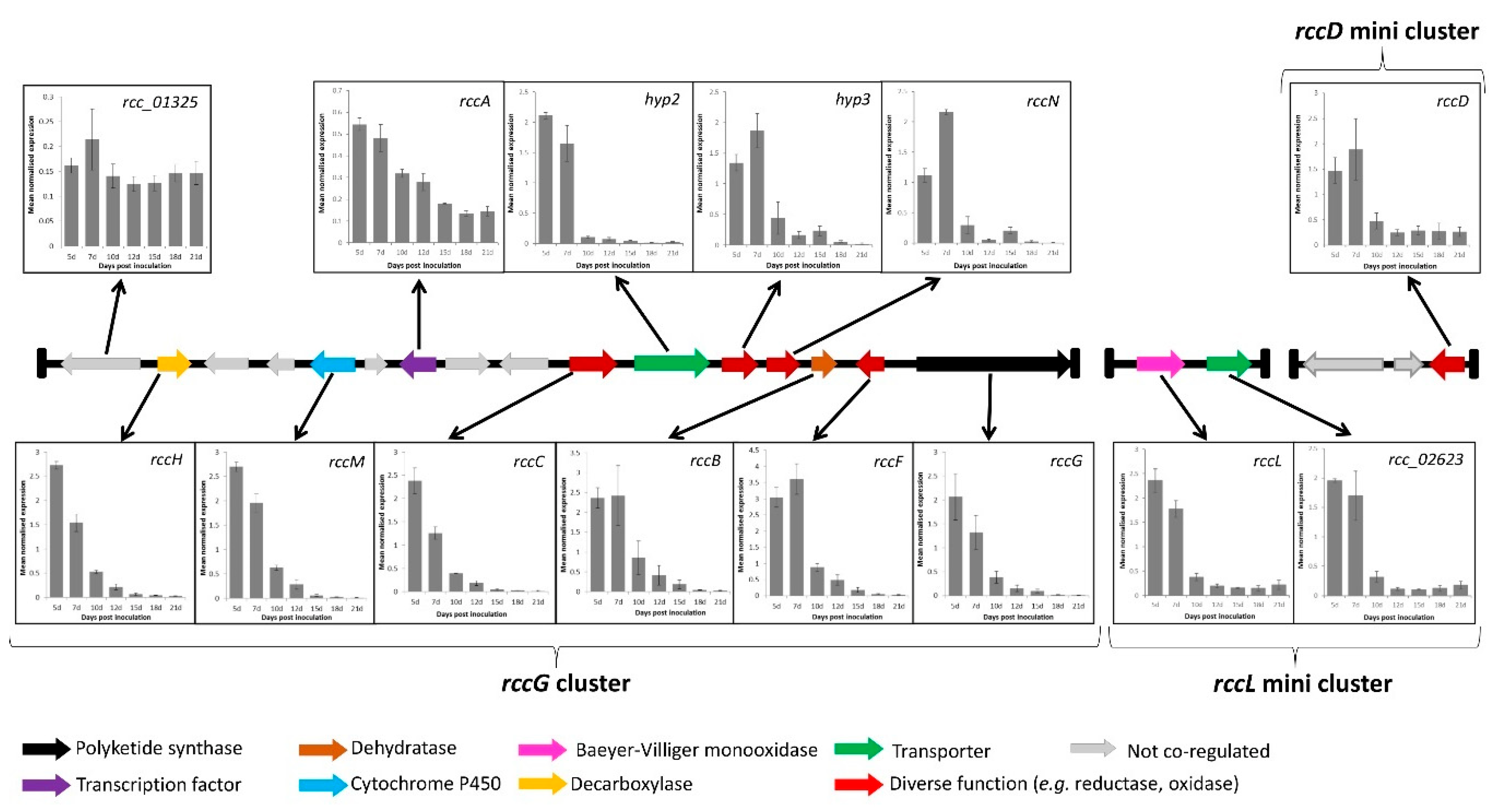 Ijms 23 03475 g004 550