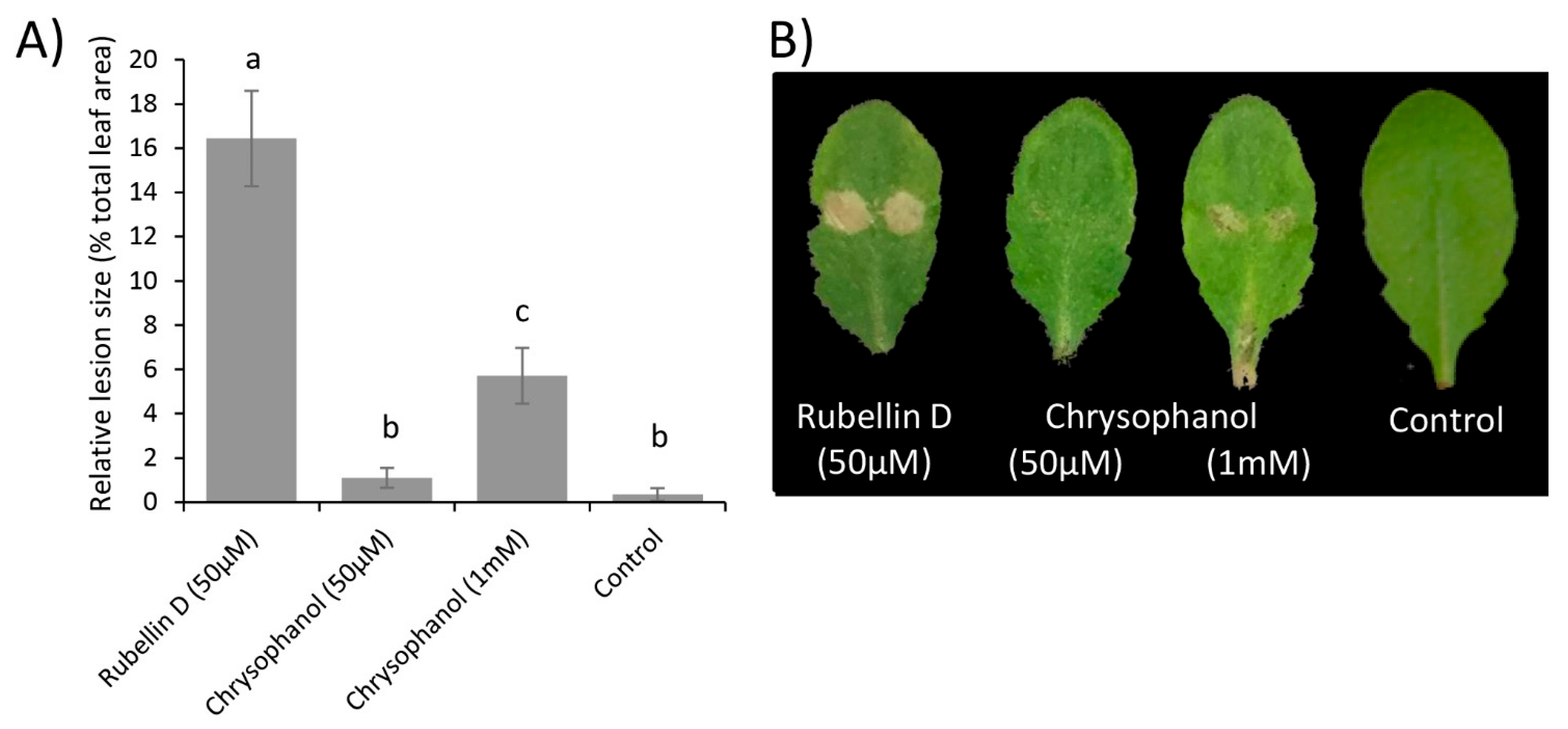 Ijms 23 03475 g005 550