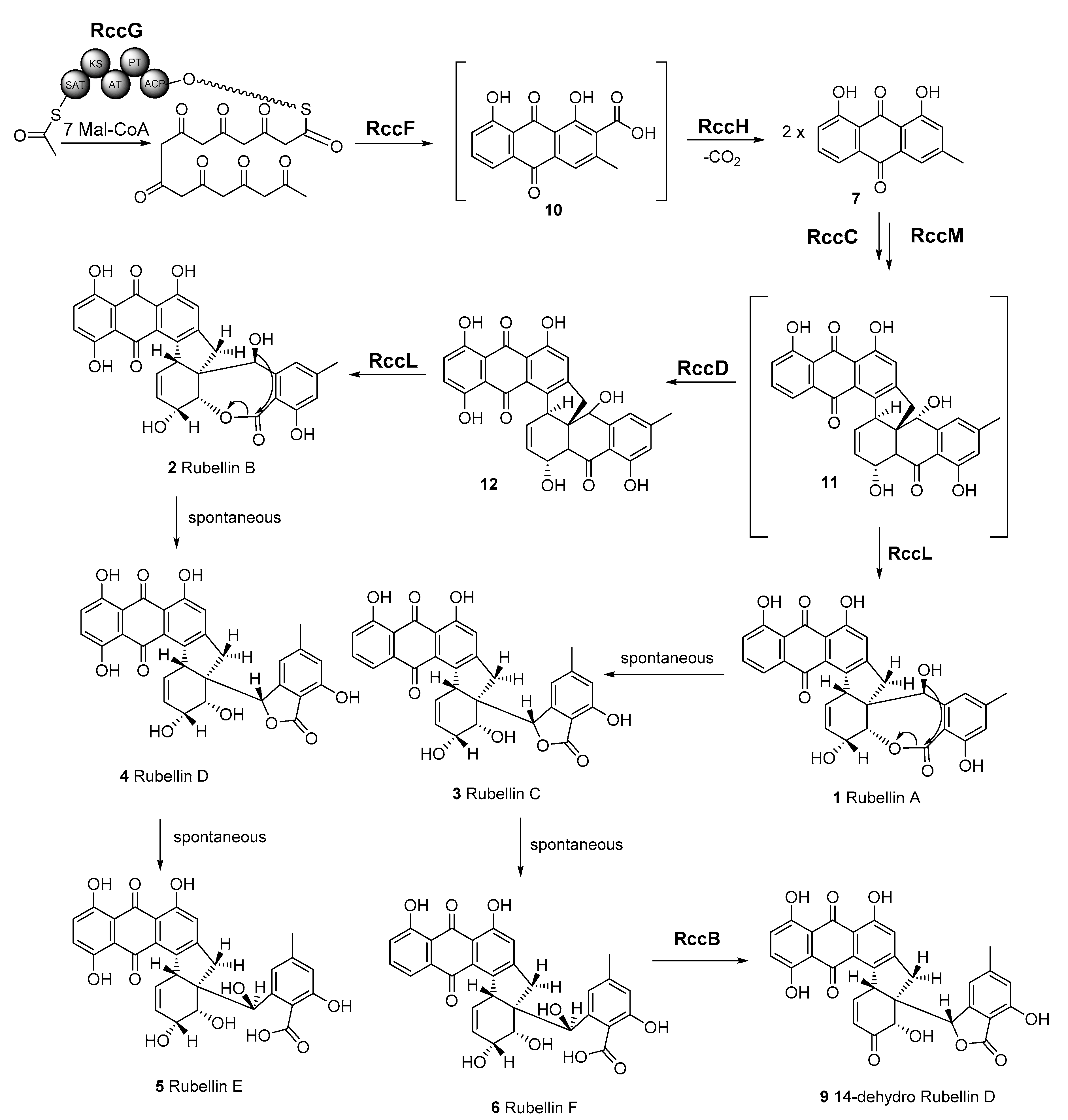 Ijms 23 03475 g006 550