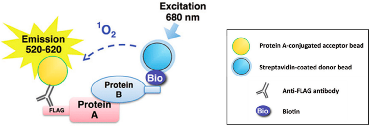Ijms 23 03480 g006 Ijms 23 03480 g006
