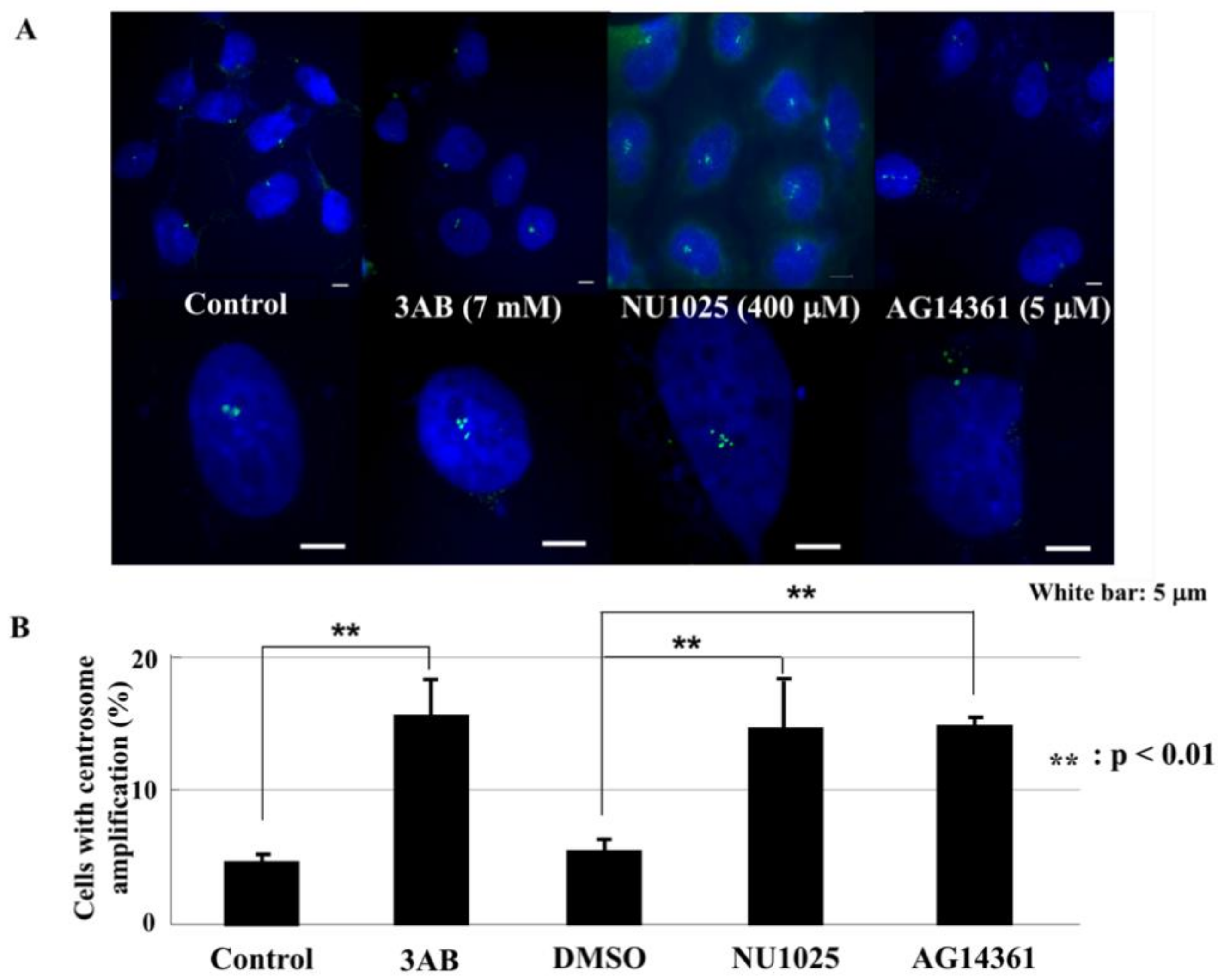 Ijms 23 03484 g001 550