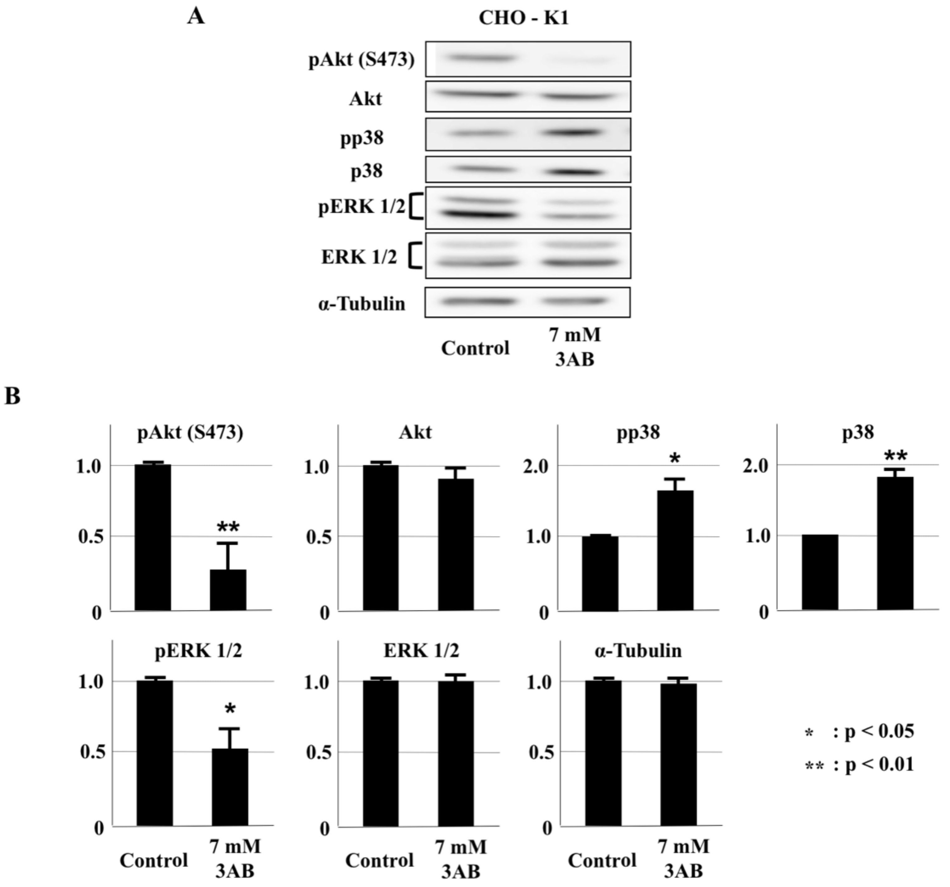 Ijms 23 03484 g004 550