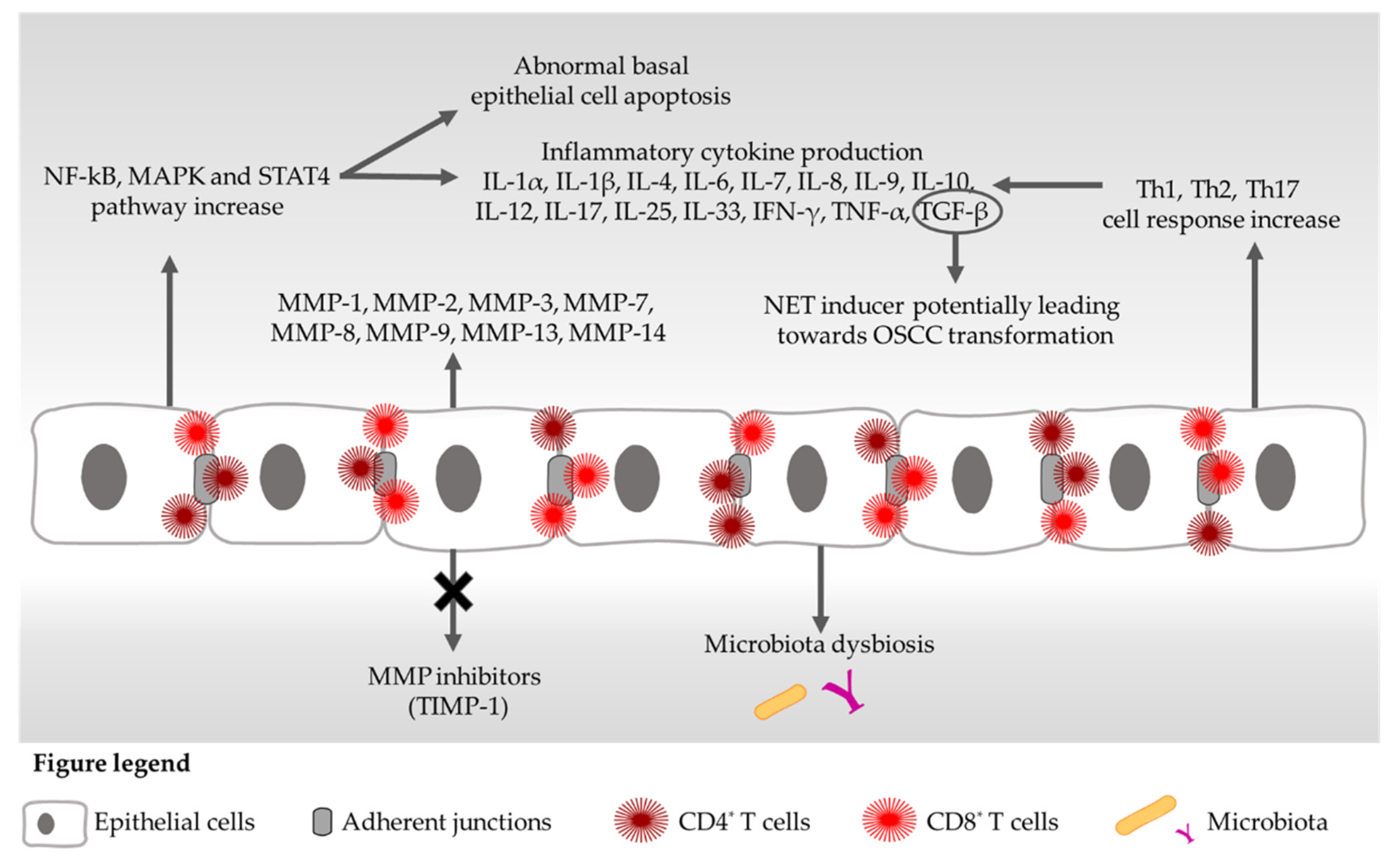 Ijms 23 03489 g001 Ijms 23 03489 g001