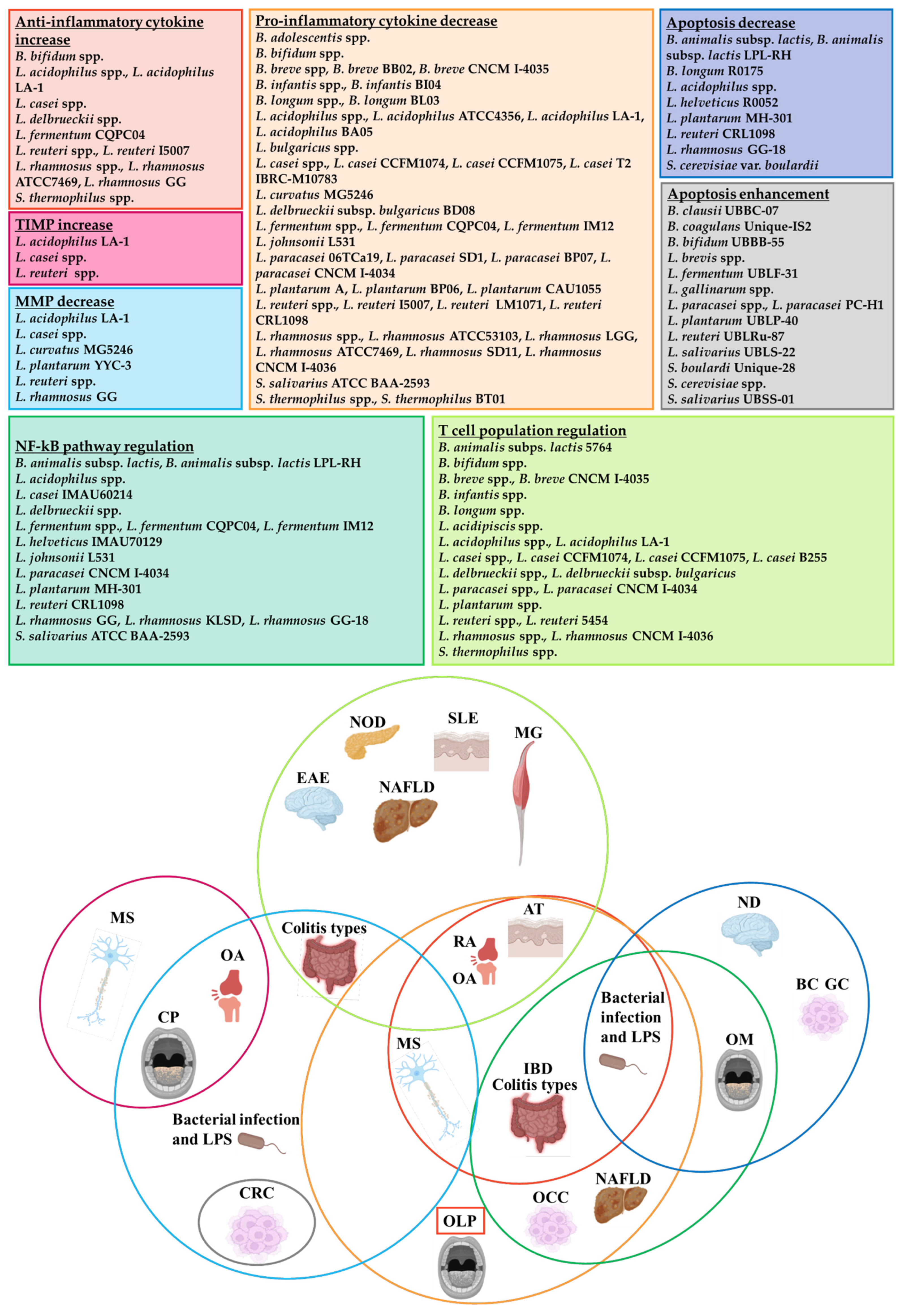 Ijms 23 03489 g002 Ijms 23 03489 g002