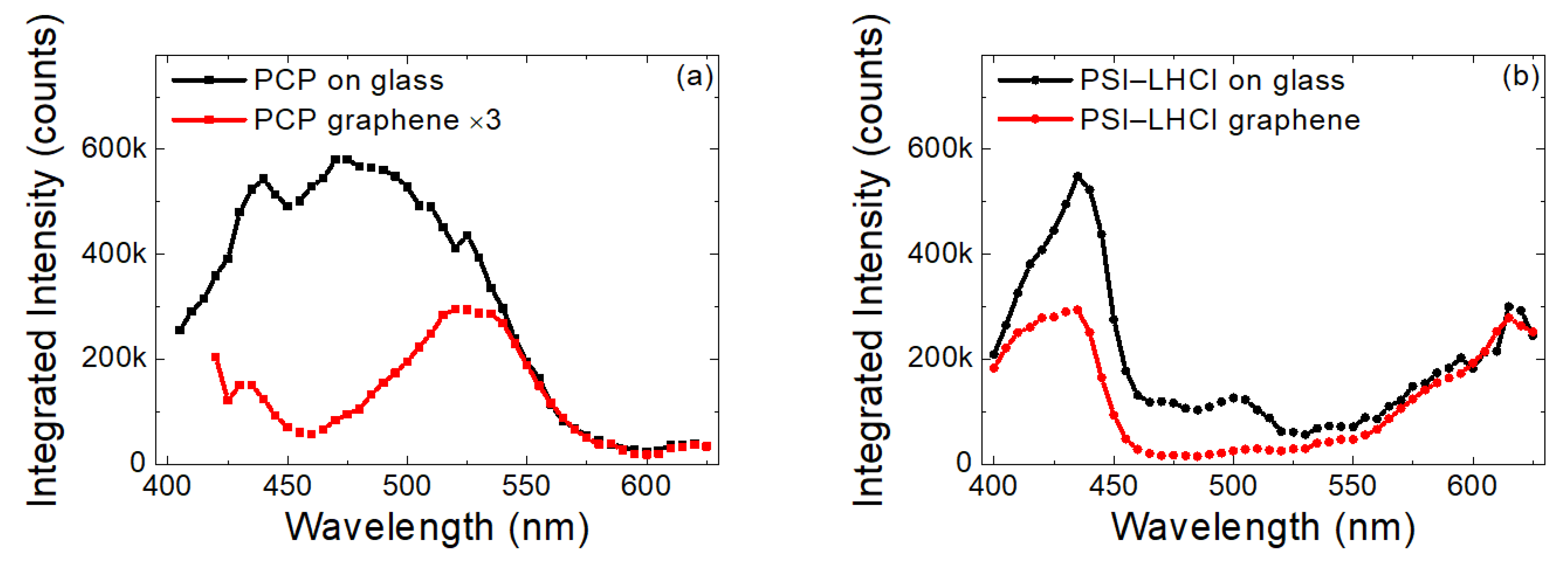 Ijms 23 03493 g003 Ijms 23 03493 g003