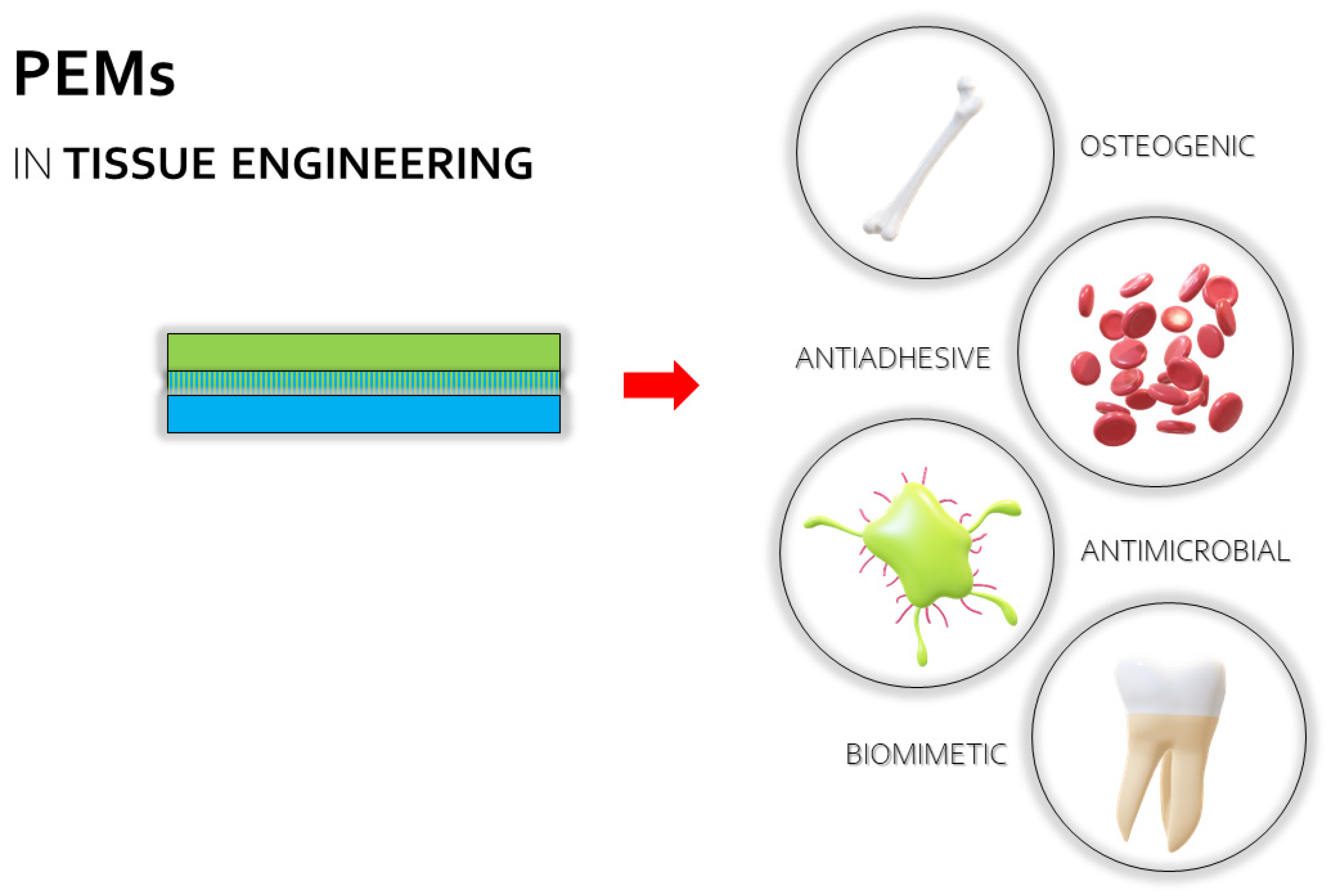 Ijms 23 03496 g005 Ijms 23 03496 g005