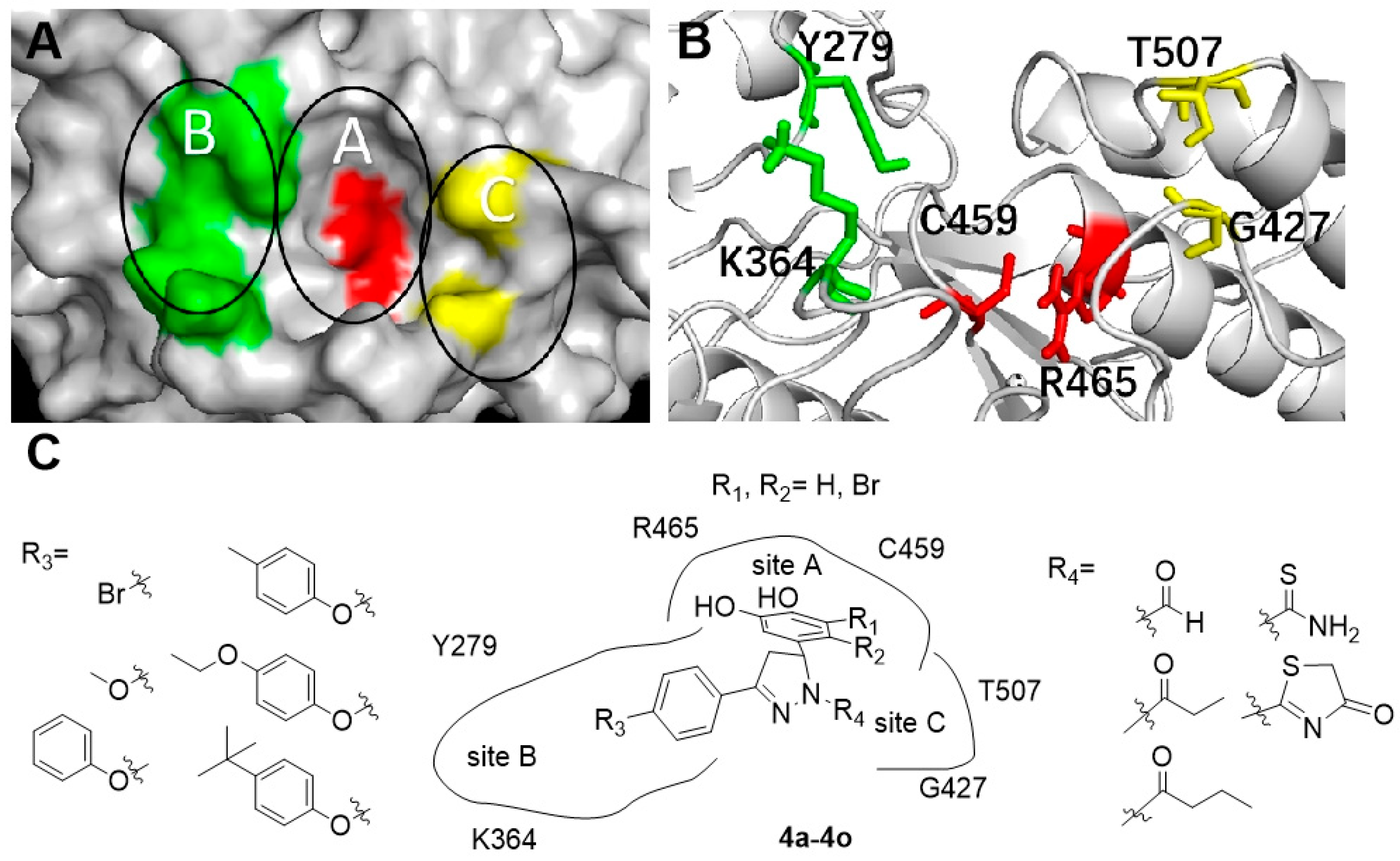 Ijms 23 03497 g001 550