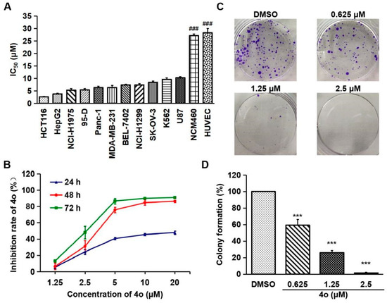 Toward a Treatment of Cancer: Design and In Vitro/In Vivo