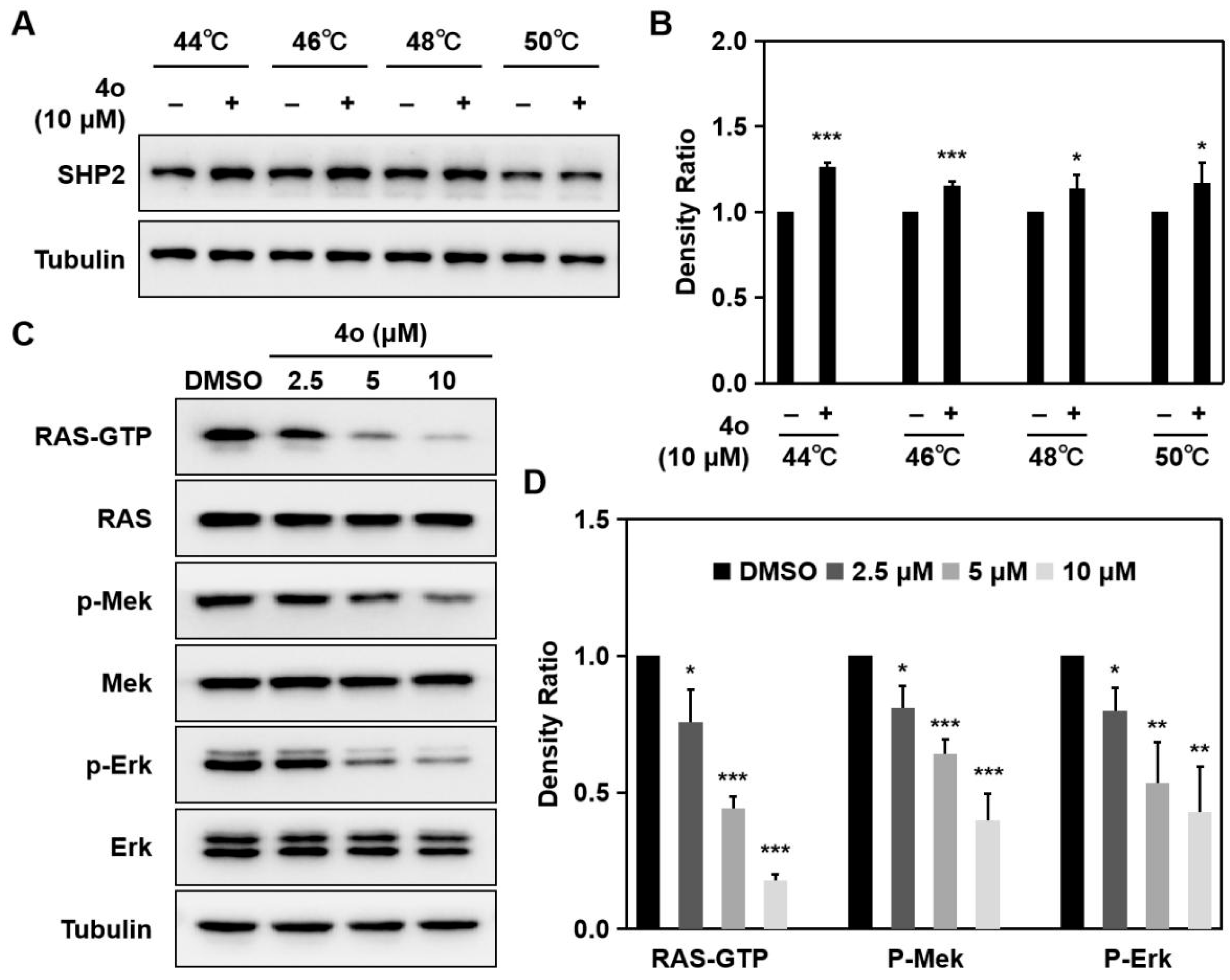 Ijms 23 03497 g006 550