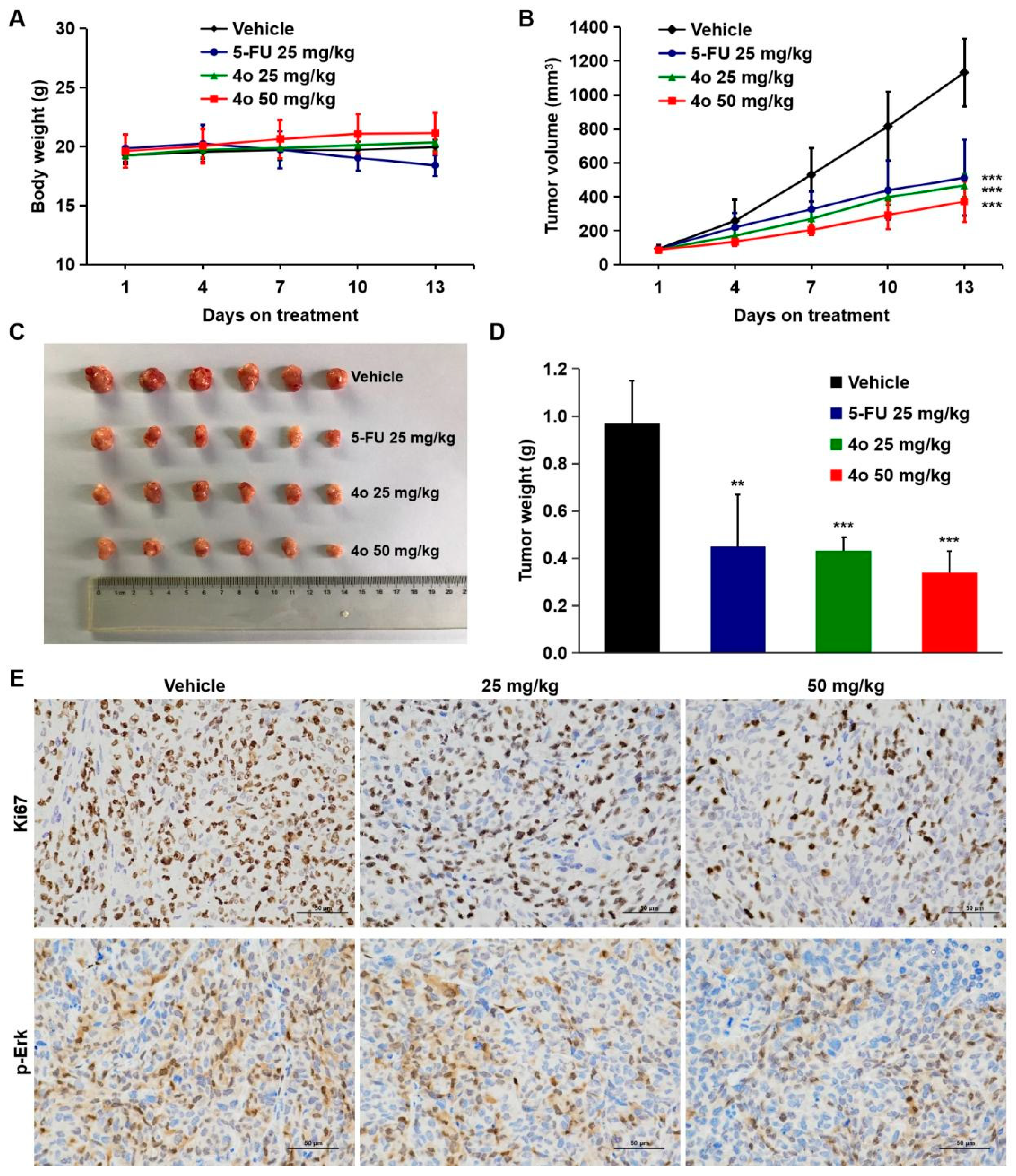Ijms 23 03497 g007 550