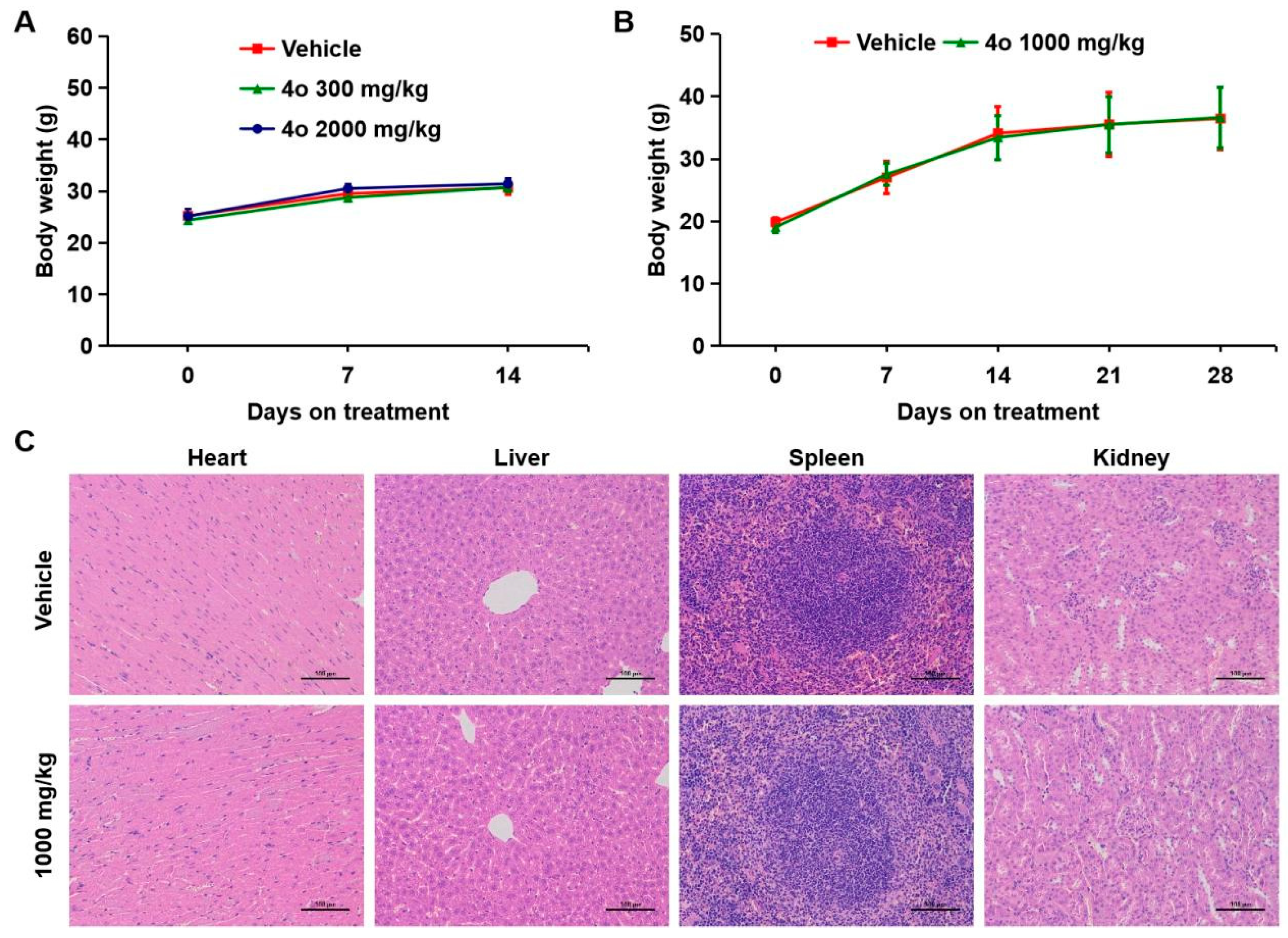Ijms 23 03497 g008 550