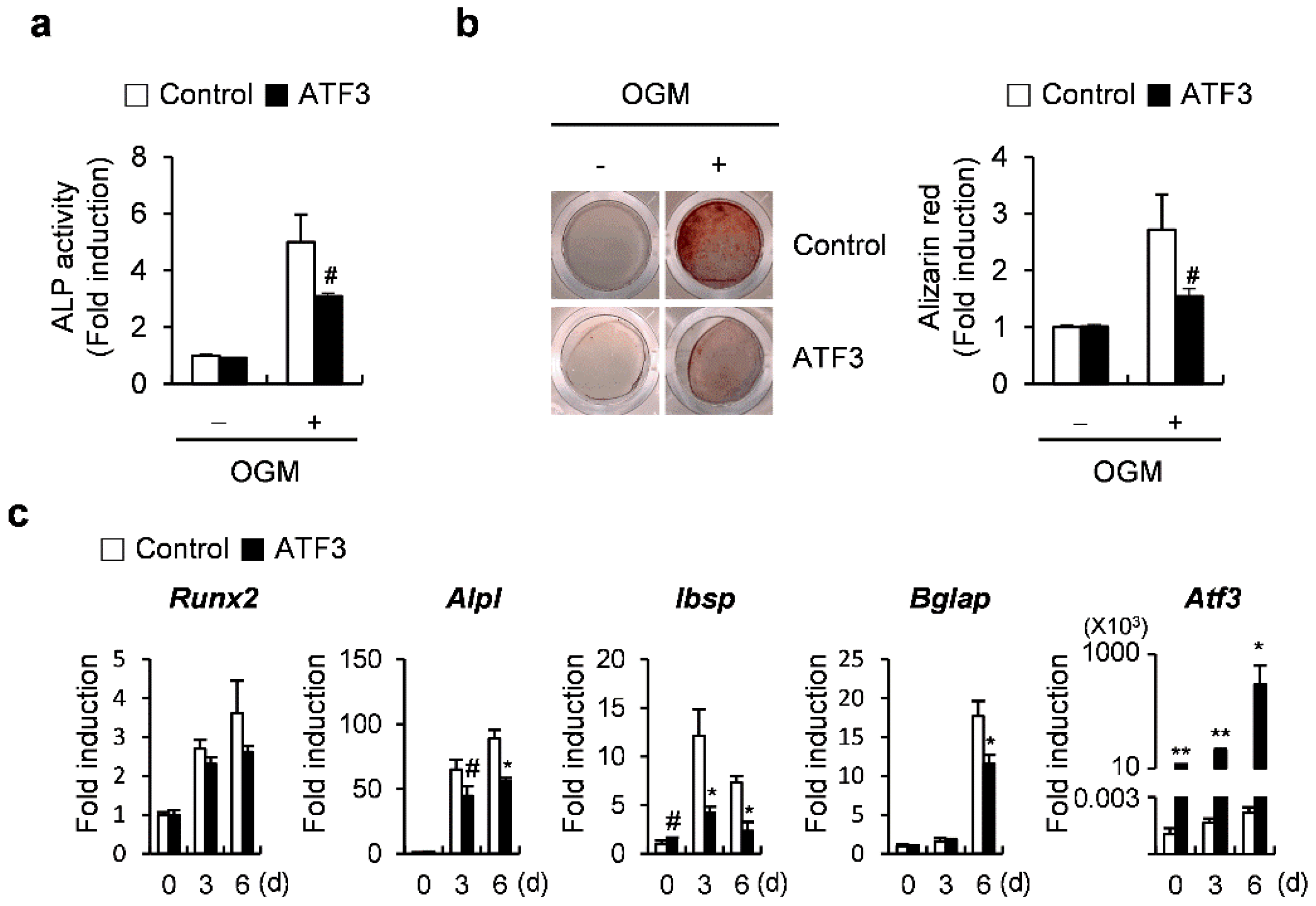 Ijms 23 03500 g001 550