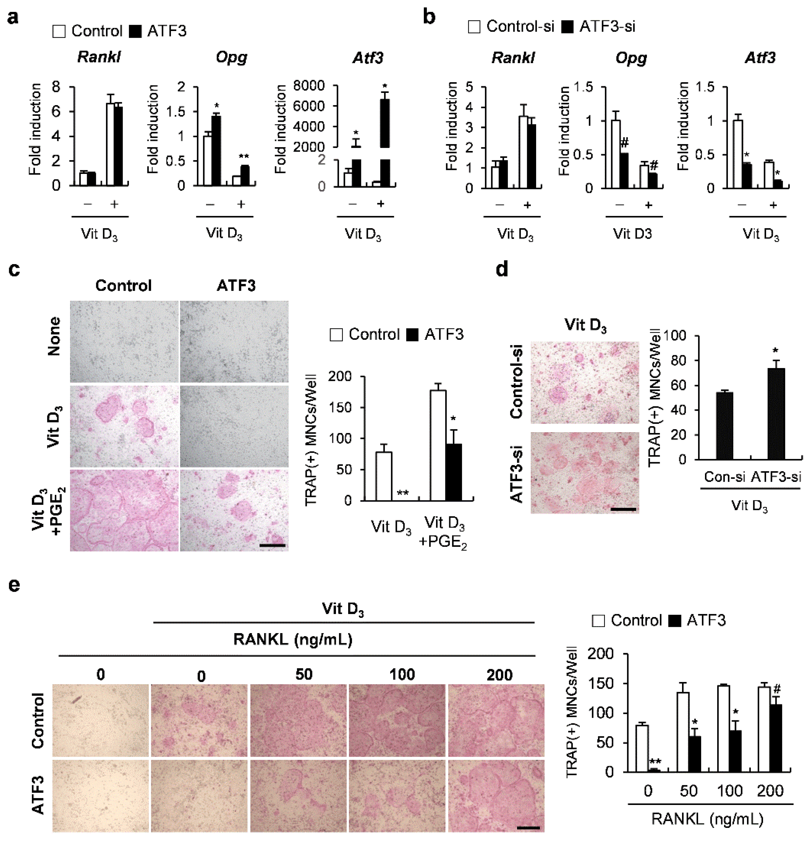 Ijms 23 03500 g002 550