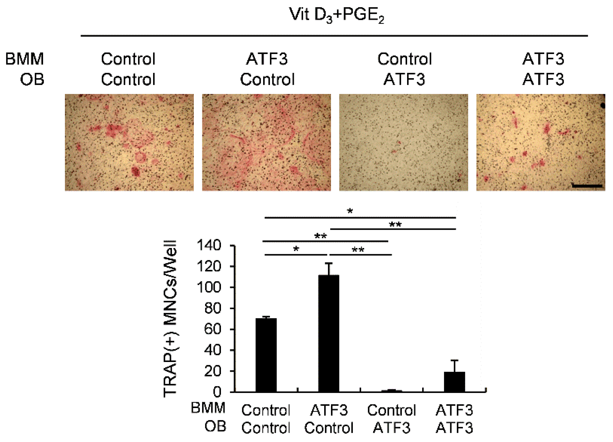 Ijms 23 03500 g003 550