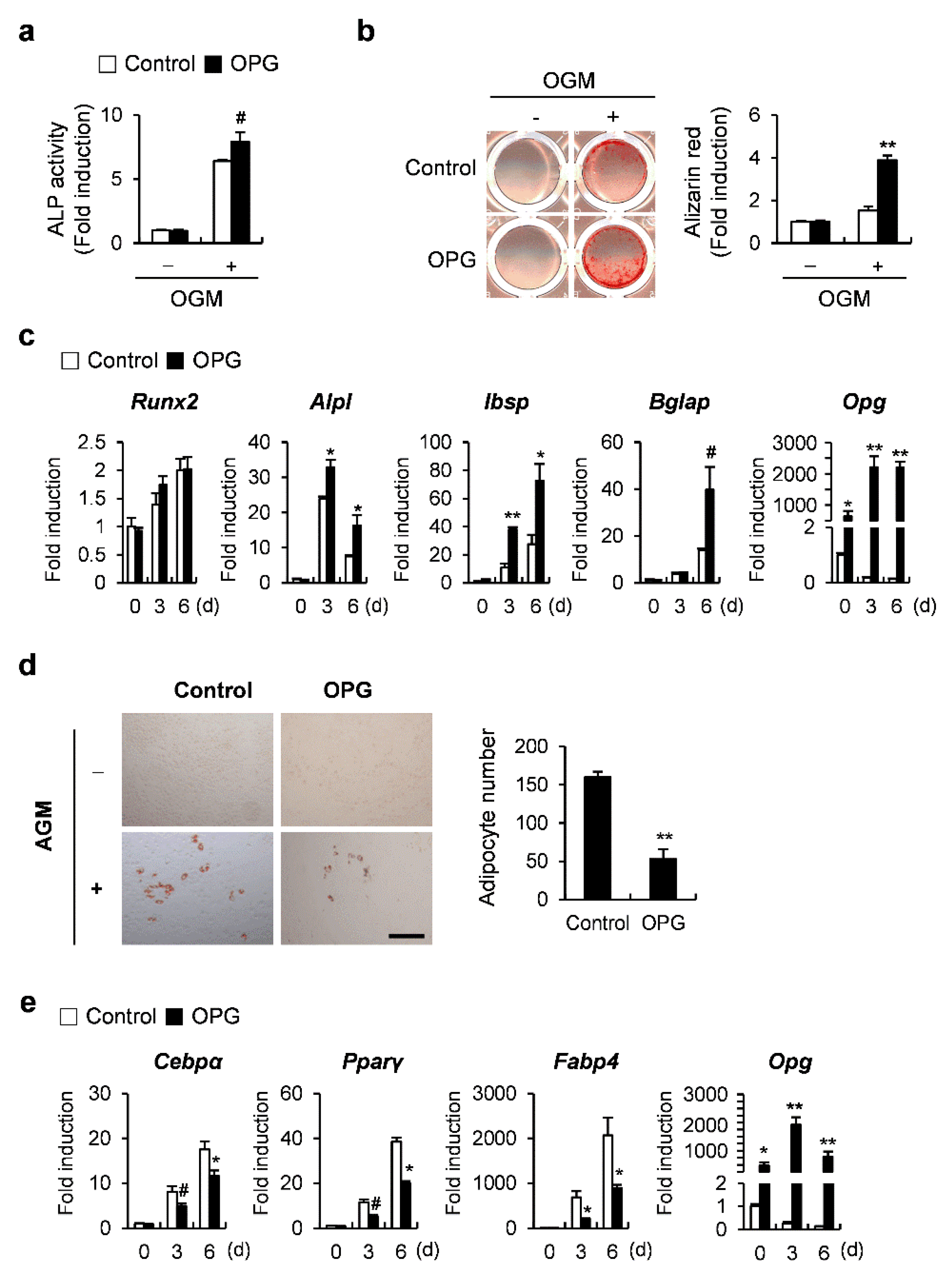 Ijms 23 03500 g004 550