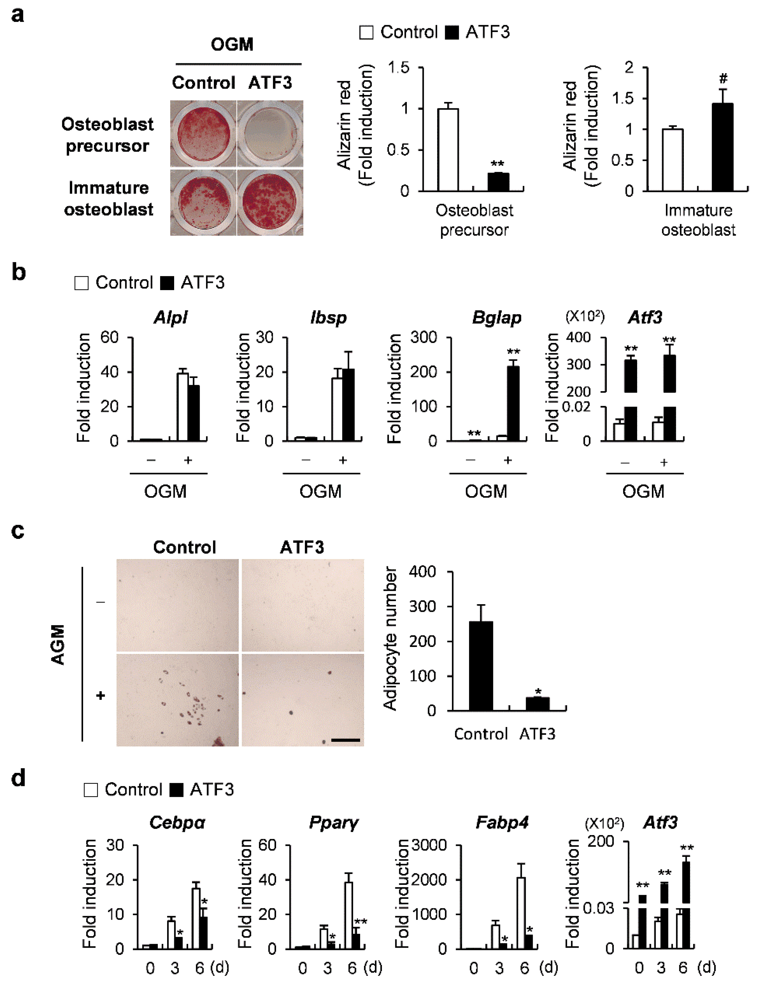 Ijms 23 03500 g005 550