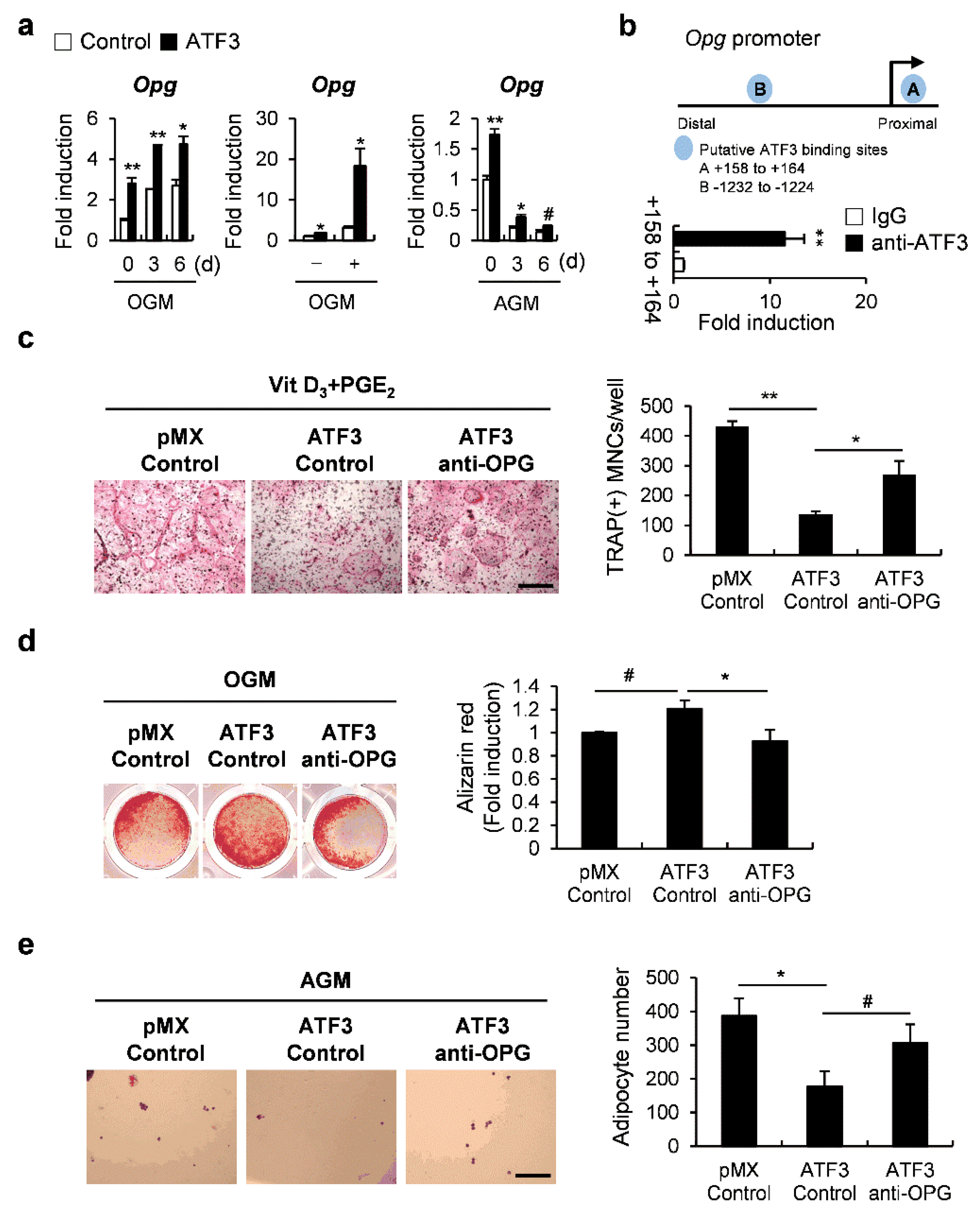 Ijms 23 03500 g006 550