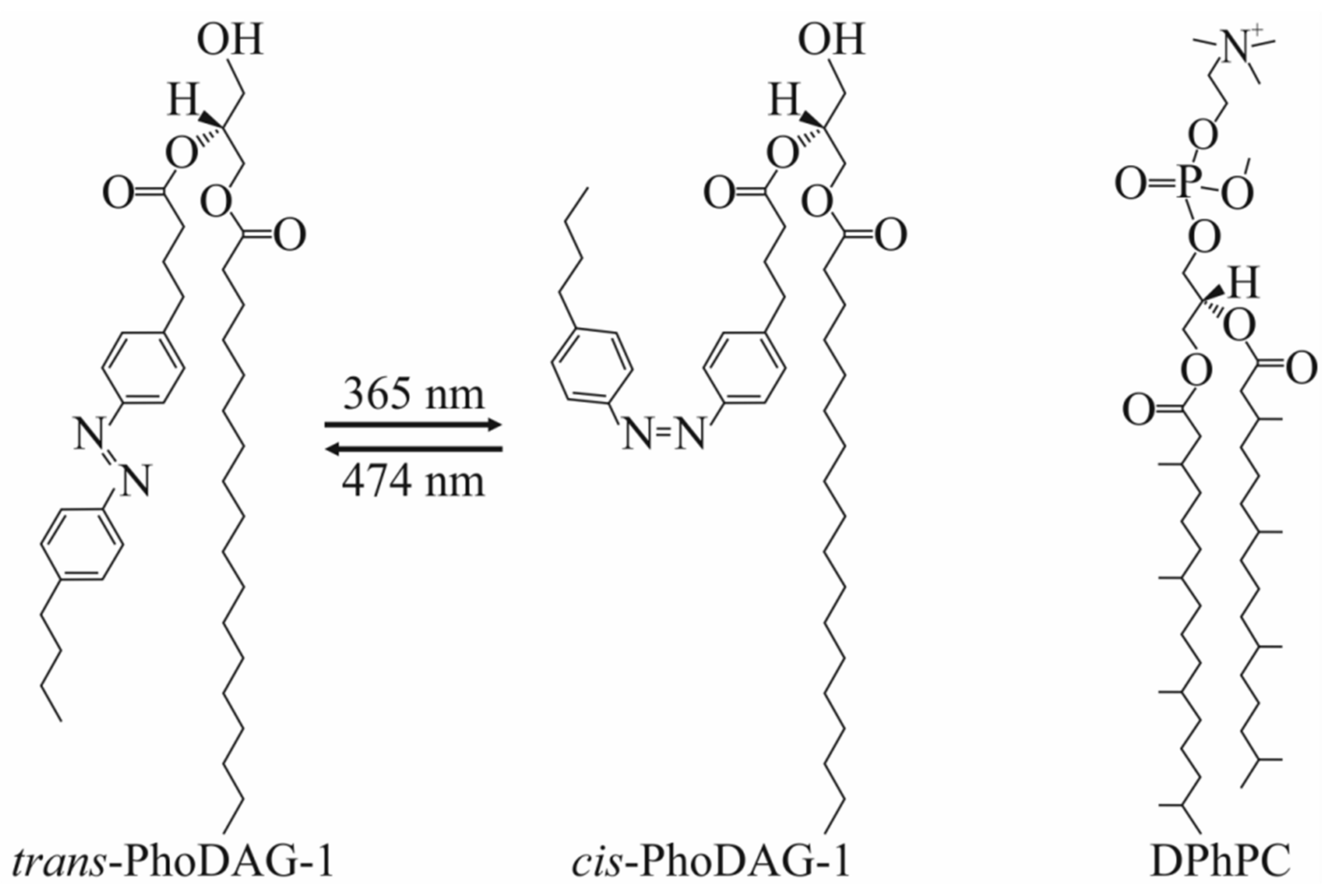Ijms 23 03502 g002 550