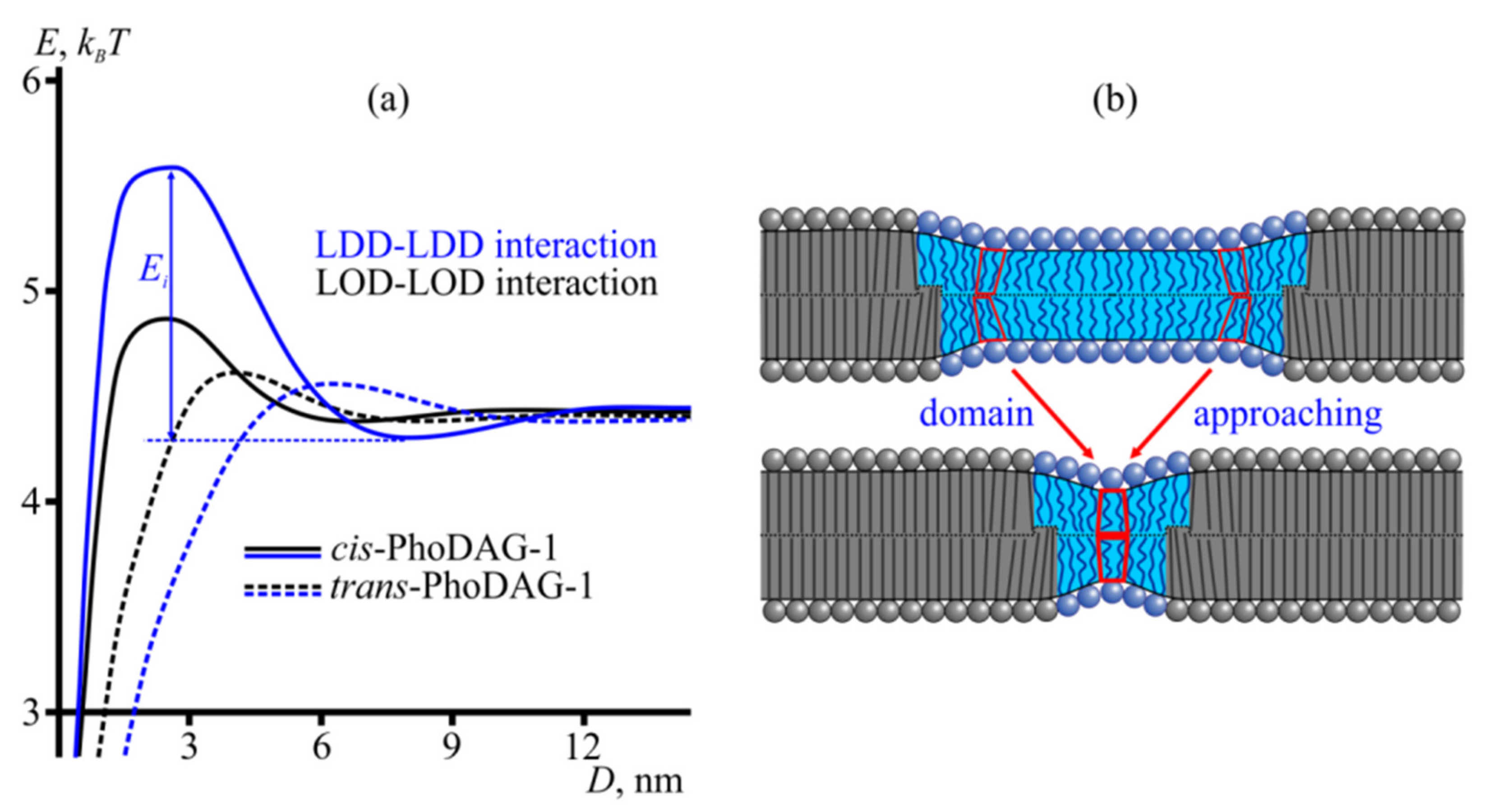 Ijms 23 03502 g007 550