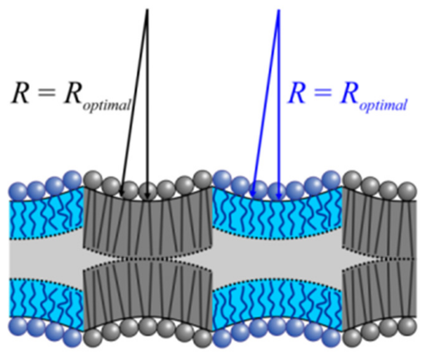 Ijms 23 03502 g008 550