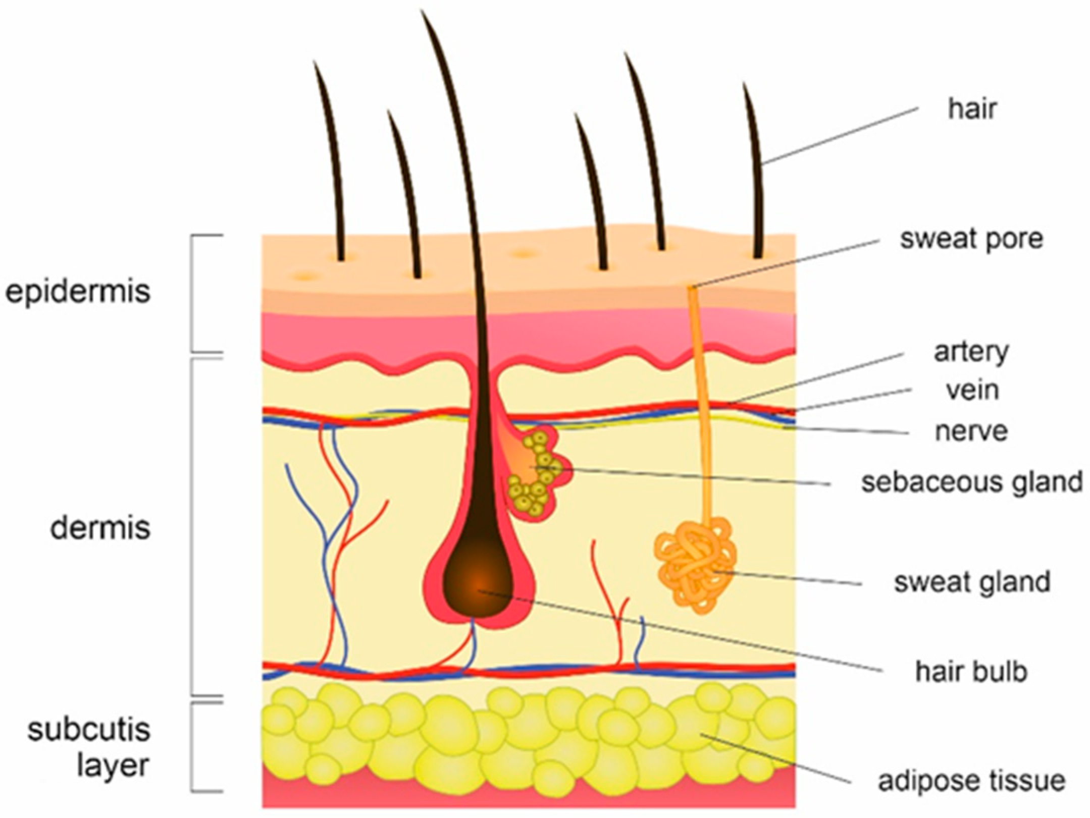 IJMS | Free Full-Text | Skin Microbiota in Atopic Dermatitis IJMS | Free Full-Text | Skin Microbiota in Atopic Dermatitis