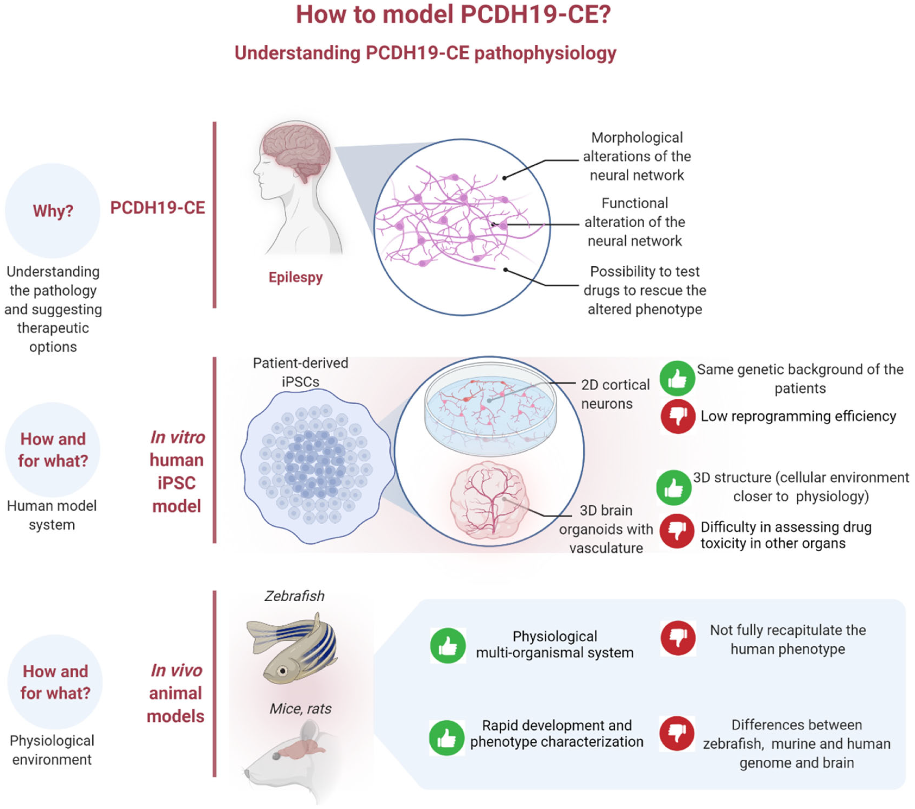 Ijms 23 03506 g001 550