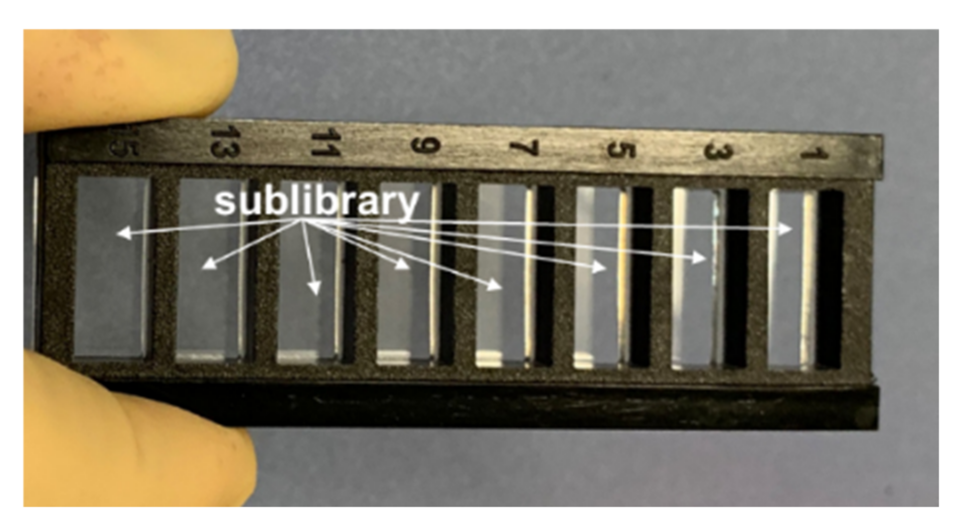 Ijms 23 03515 g009 550