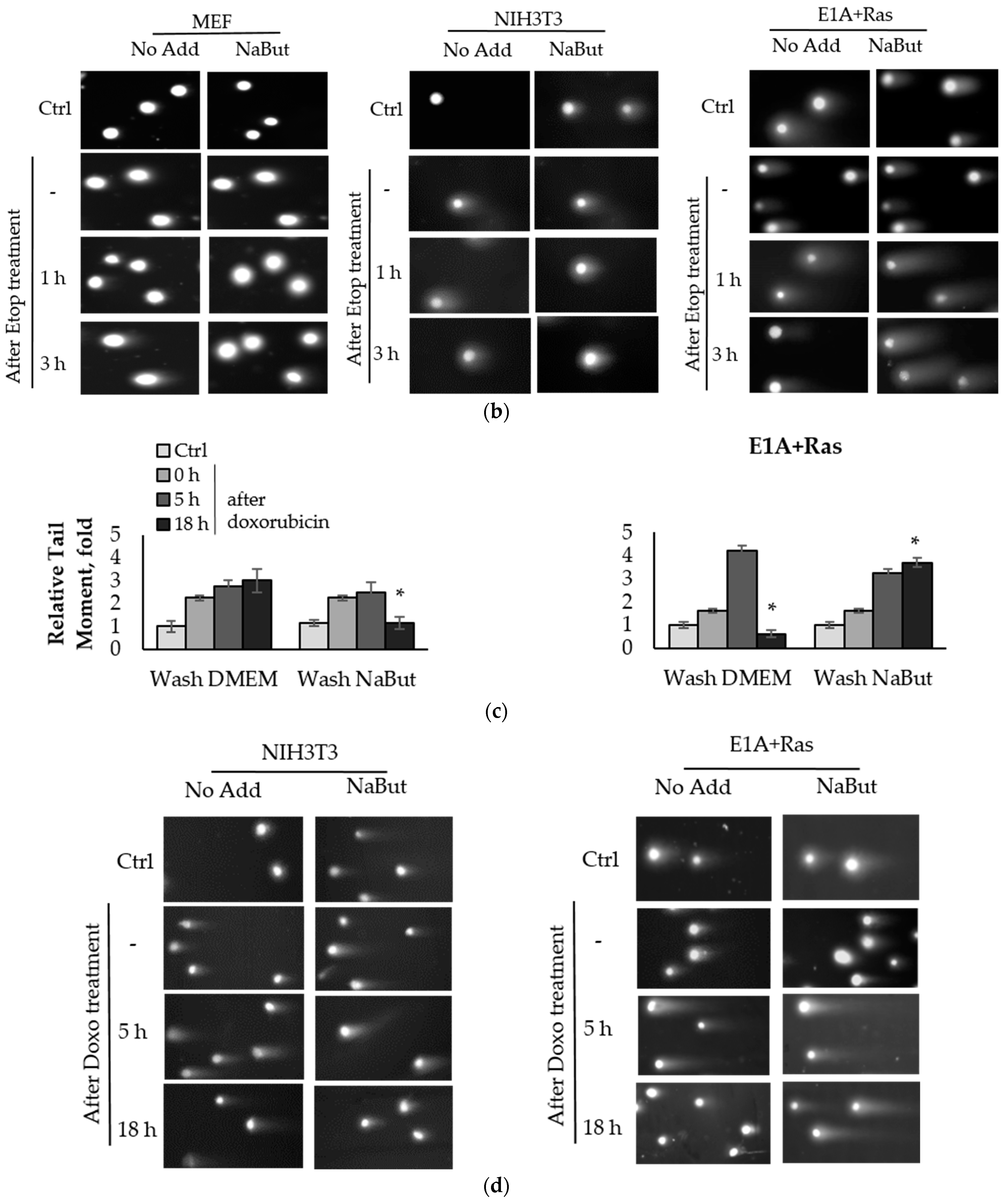 Ijms 23 03517 g001b 550
