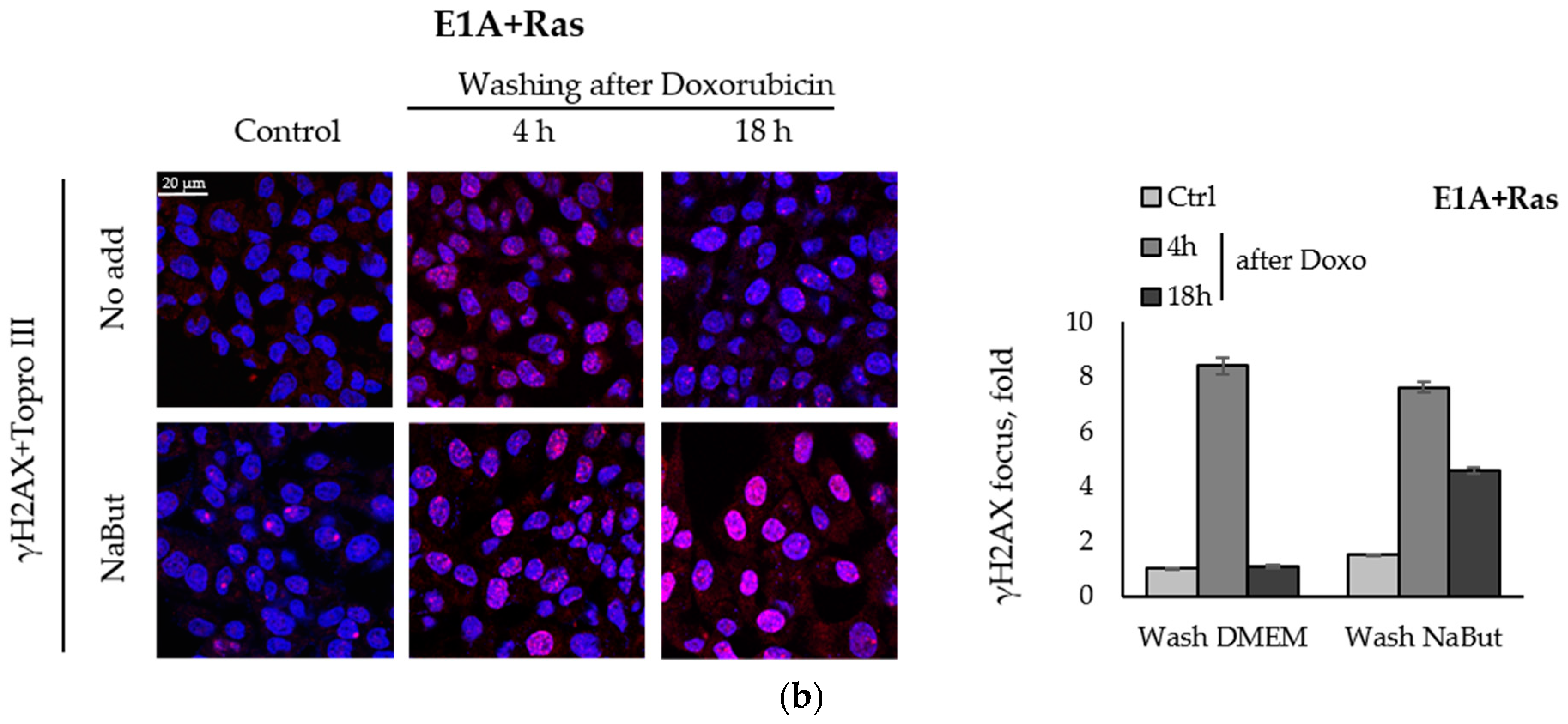 Ijms 23 03517 g002b 550