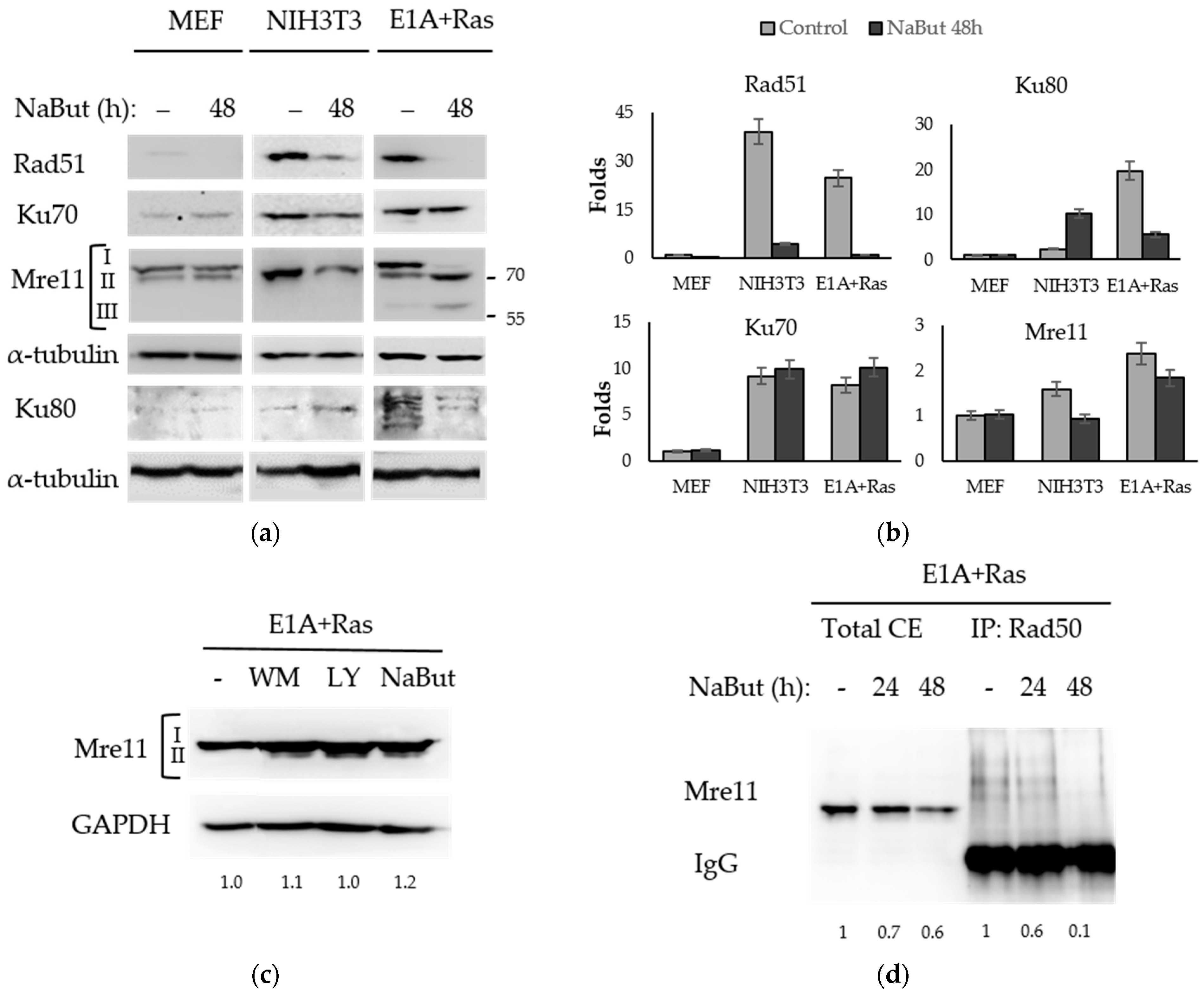 Ijms 23 03517 g004 550