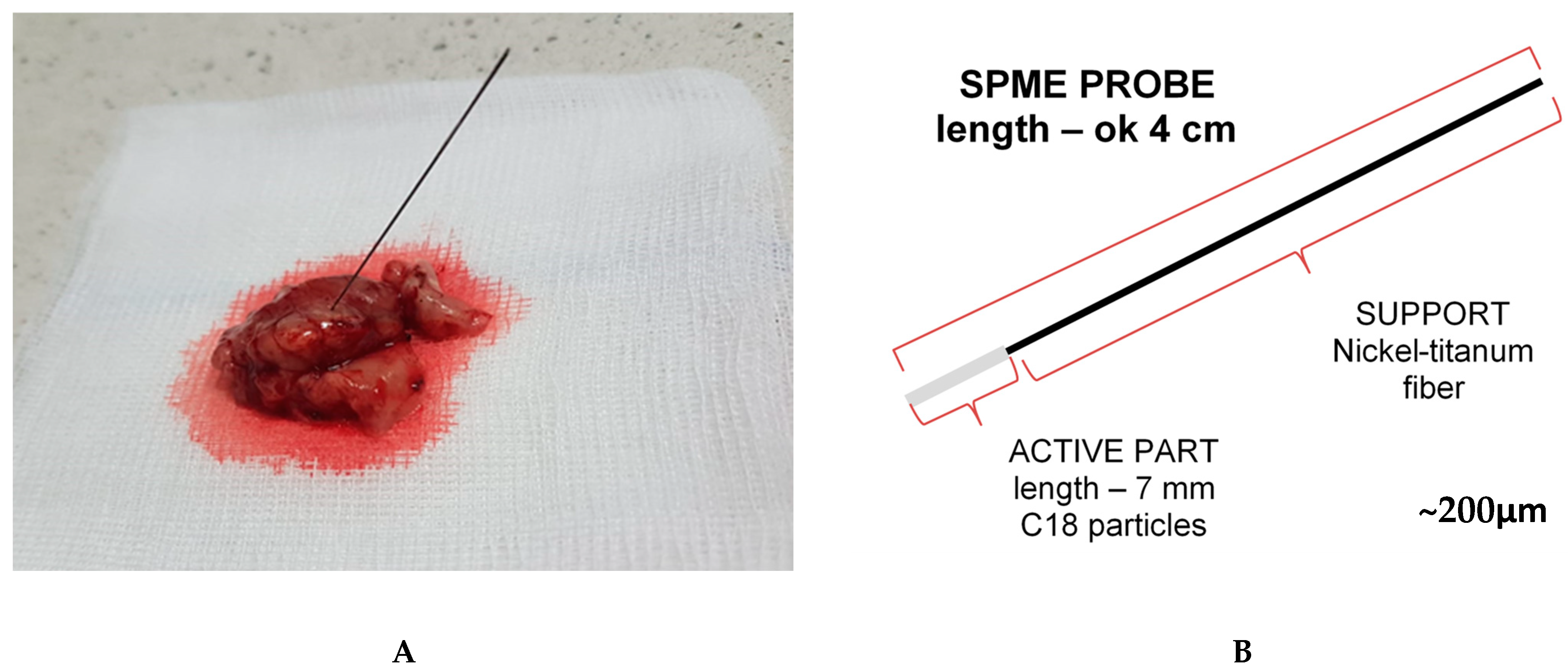 Ijms 23 03518 g001 550