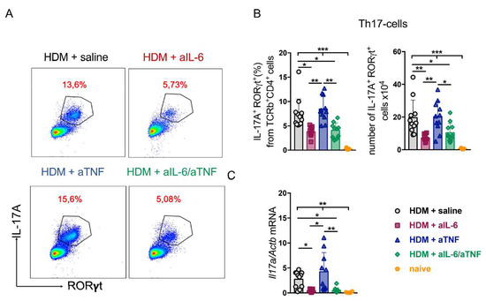 ##　B×K Fork Slider Cap Stud Kit For Harley FX FL XL 1973-1994