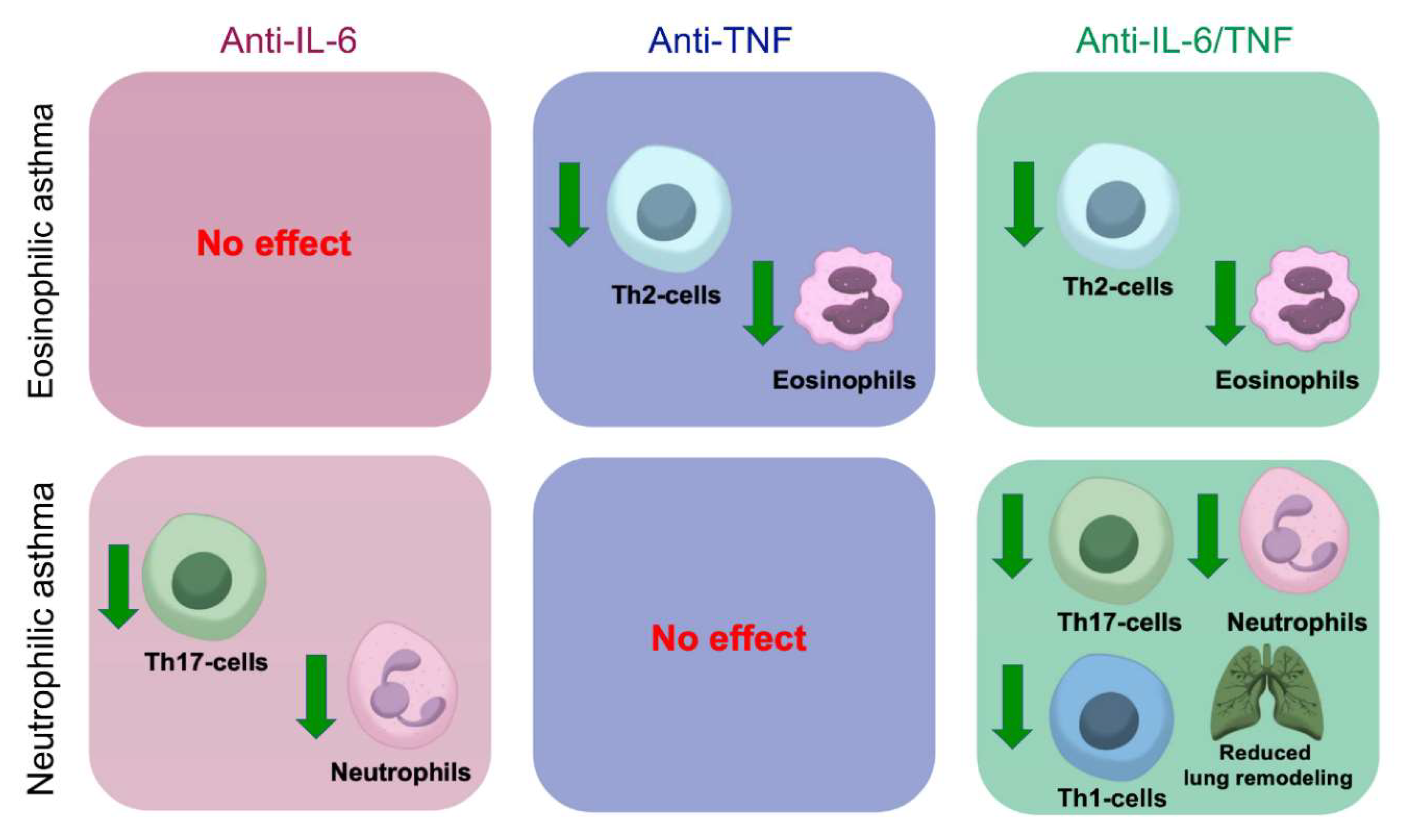 Ijms 23 03521 g005 550
