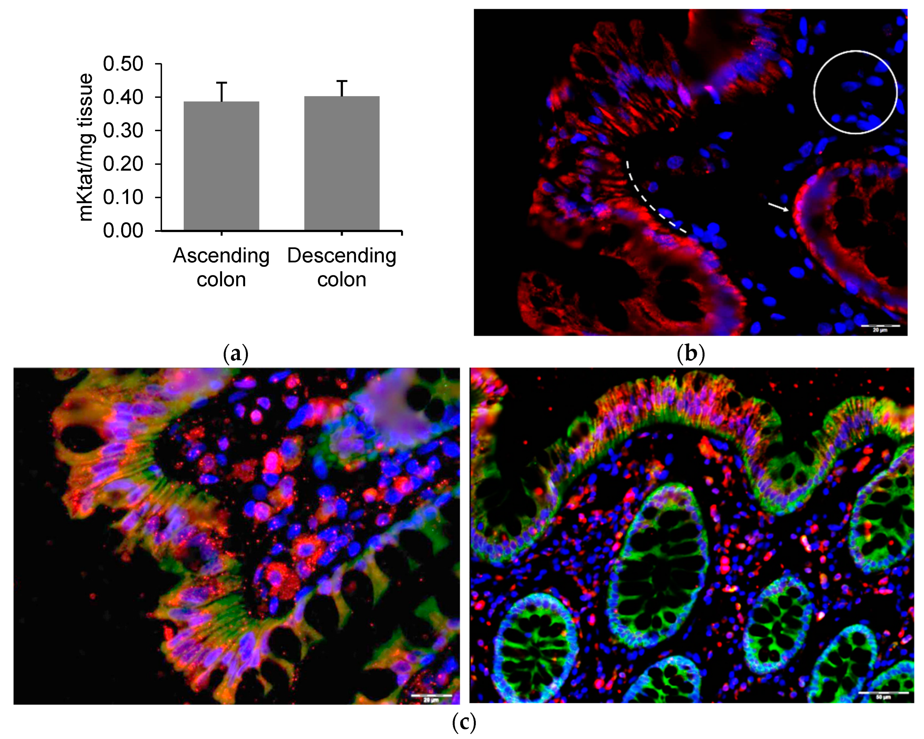 Ijms 23 03523 g005 550