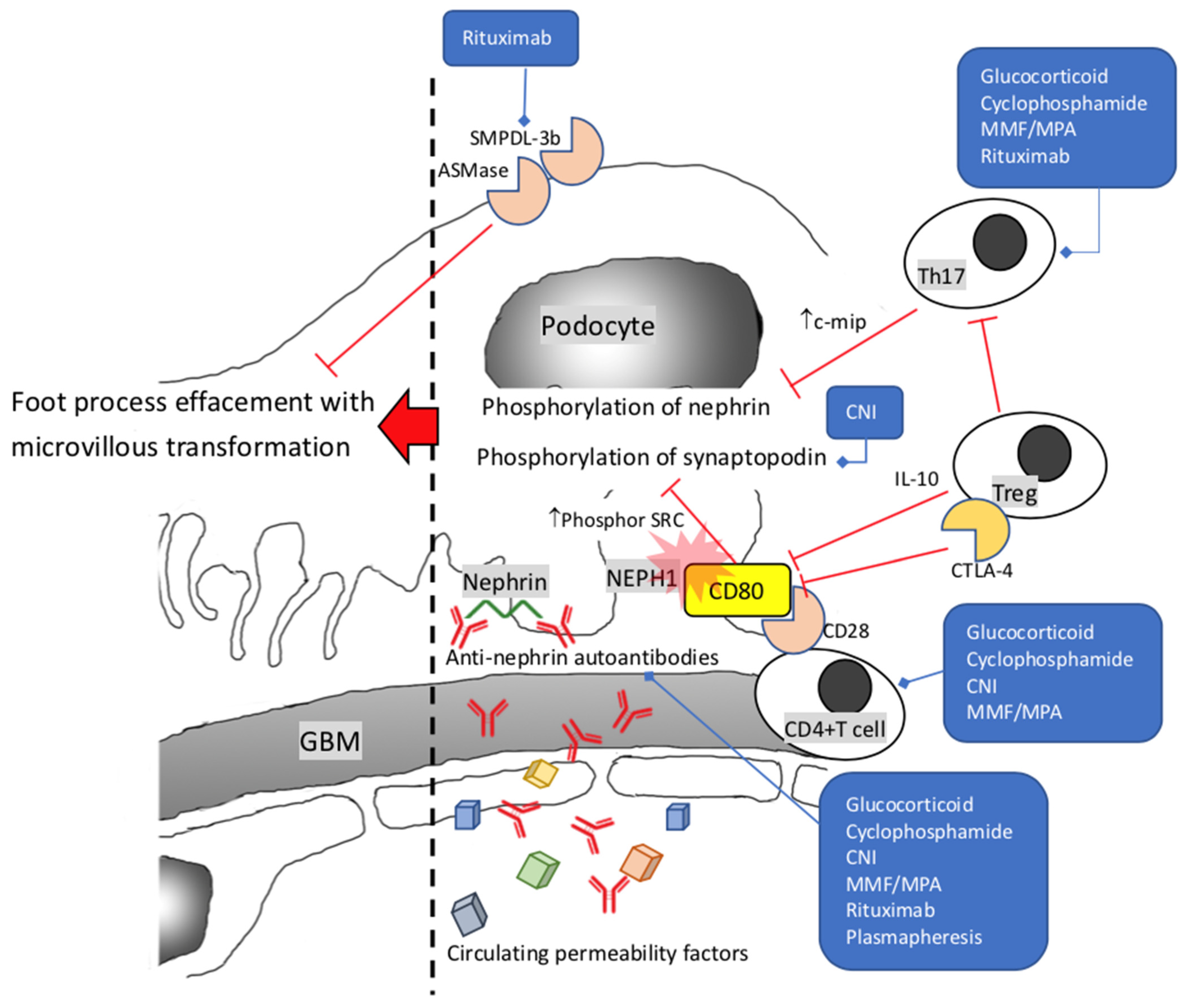 Ijms 23 03525 g001 Ijms 23 03525 g001