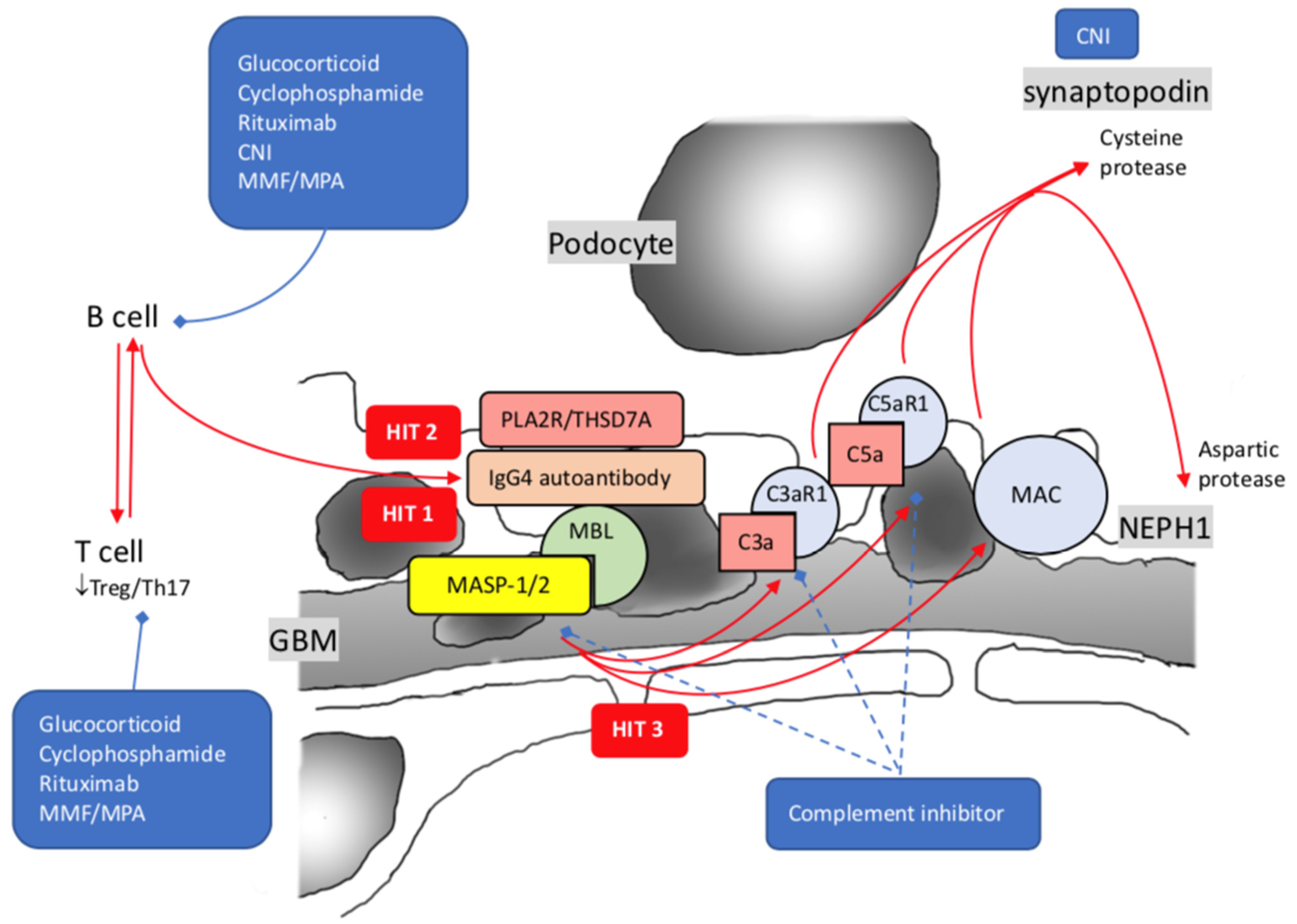 Ijms 23 03525 g003 Ijms 23 03525 g003