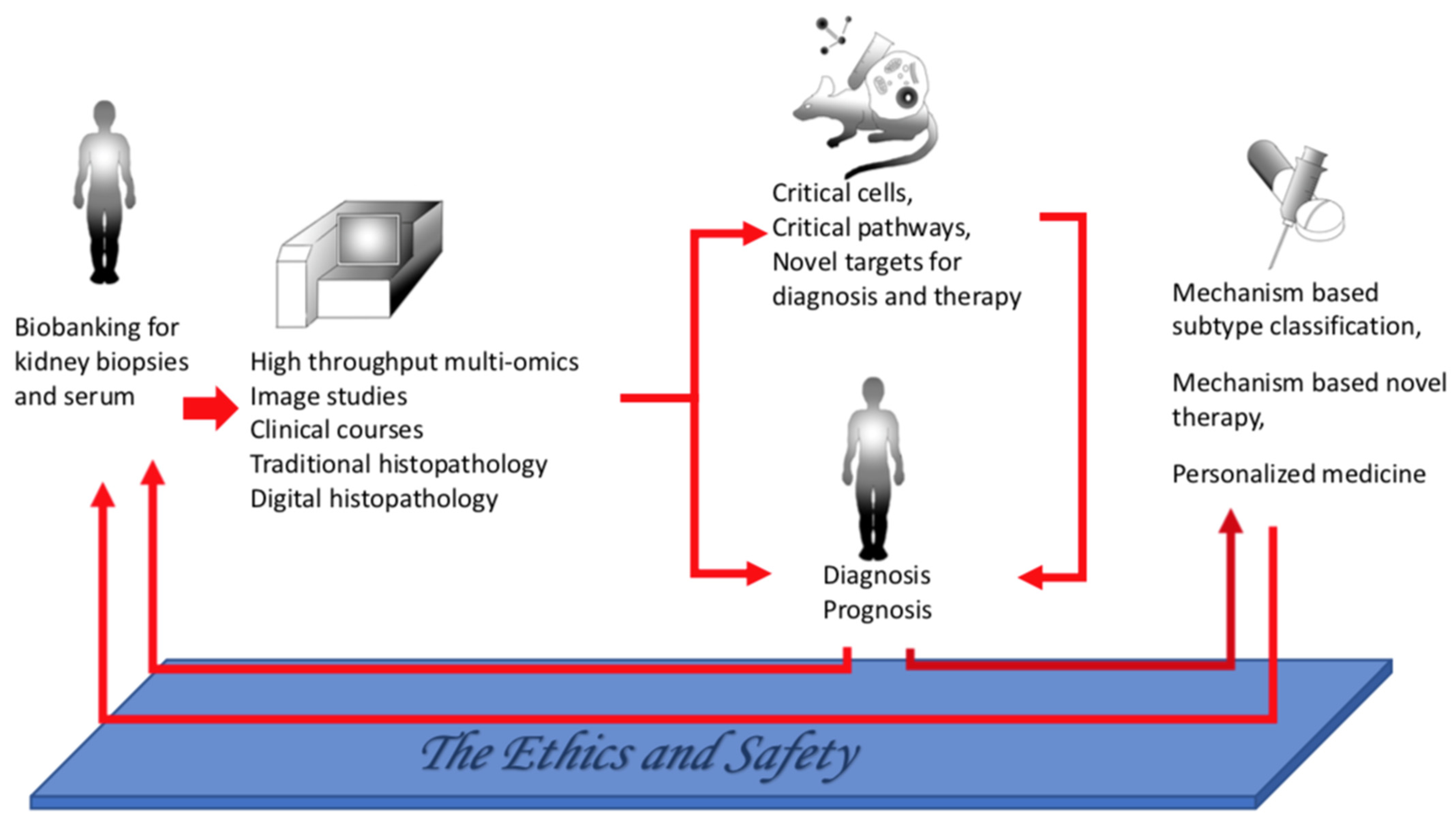 Ijms 23 03525 g004 Ijms 23 03525 g004
