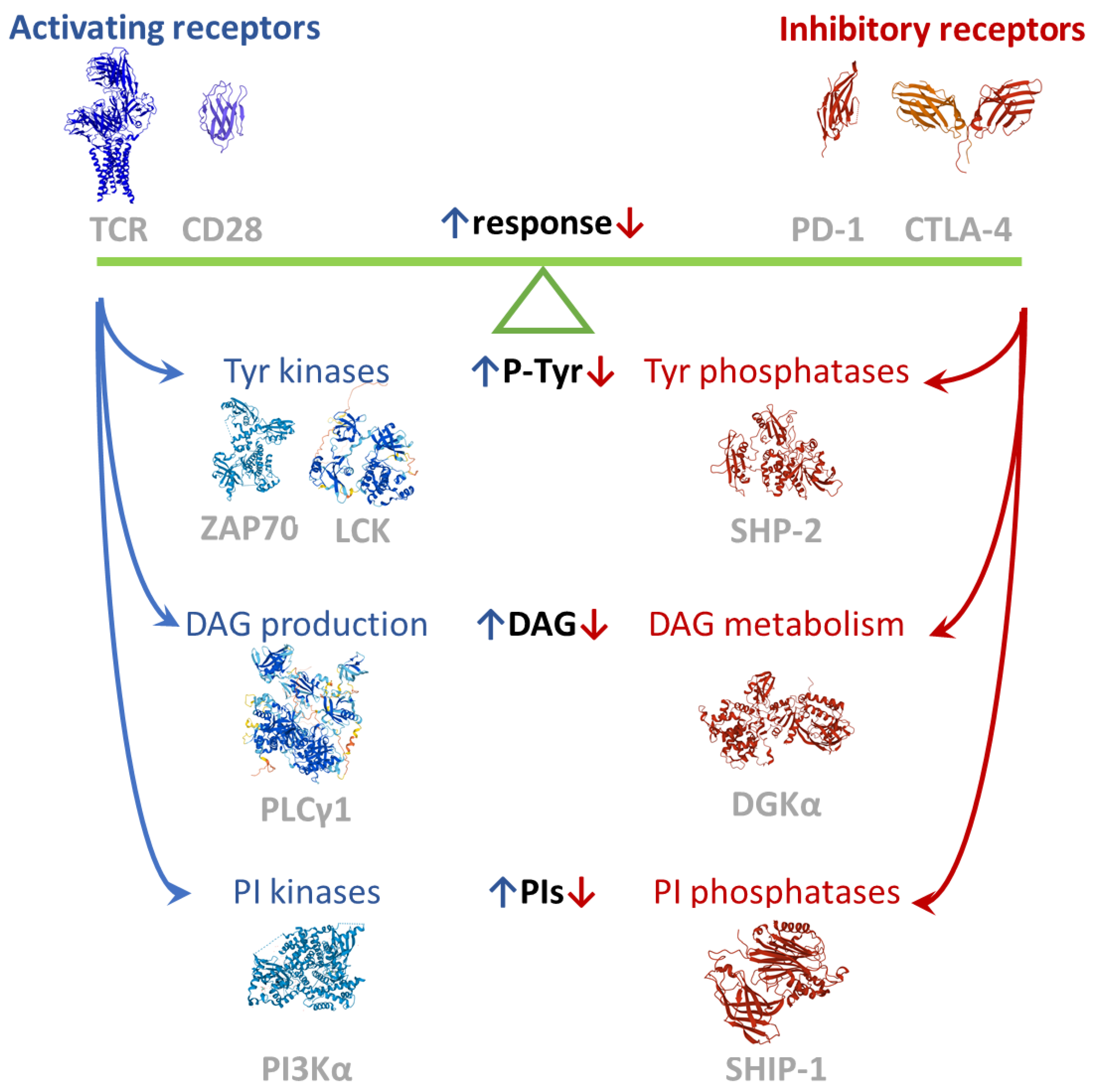 Ijms 23 03529 g001 Ijms 23 03529 g001