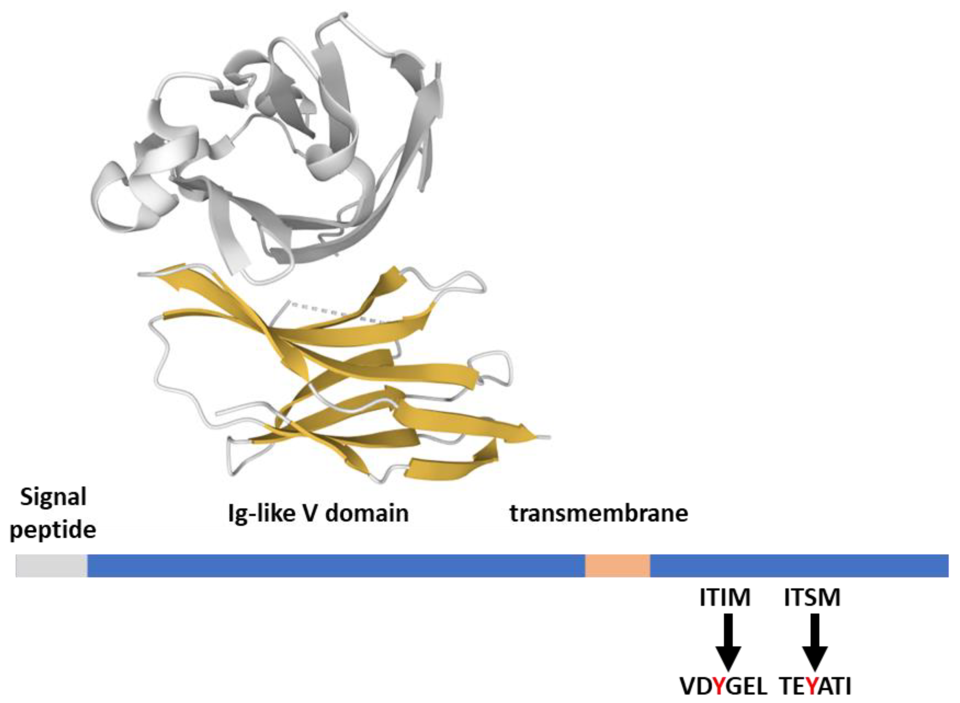 Ijms 23 03529 g002 Ijms 23 03529 g002