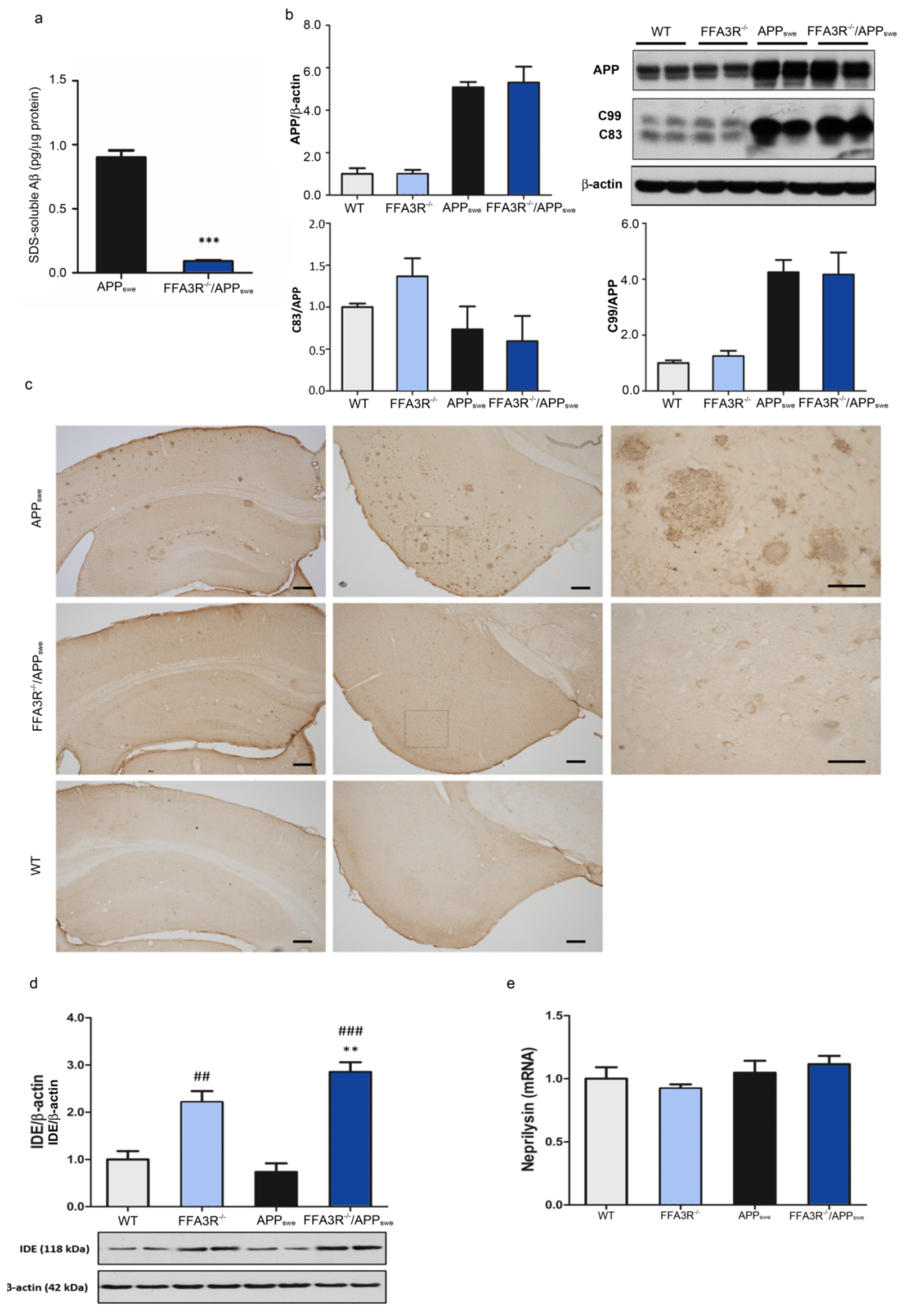 Ijms 23 03533 g004 Ijms 23 03533 g004