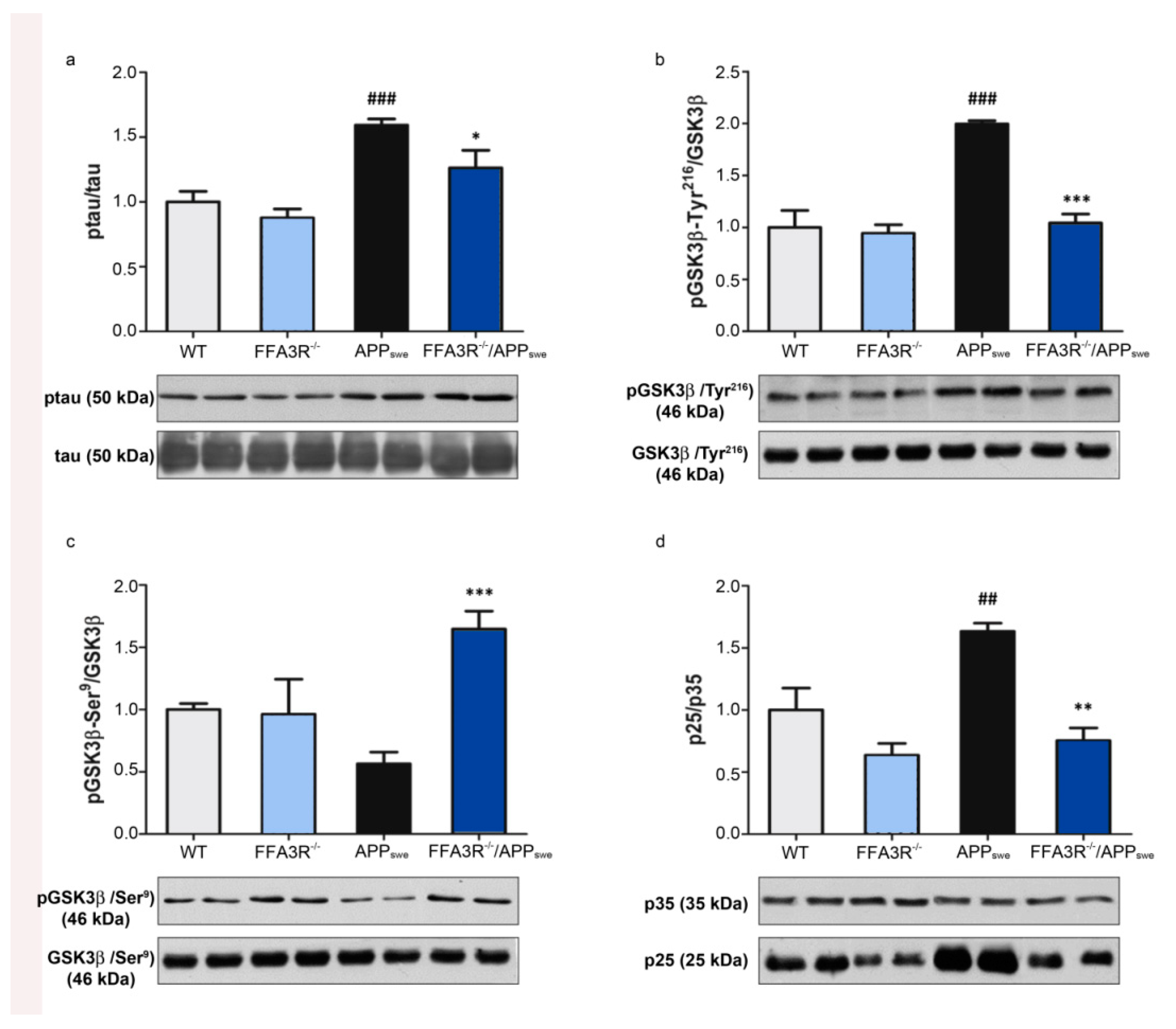 Ijms 23 03533 g005 Ijms 23 03533 g005