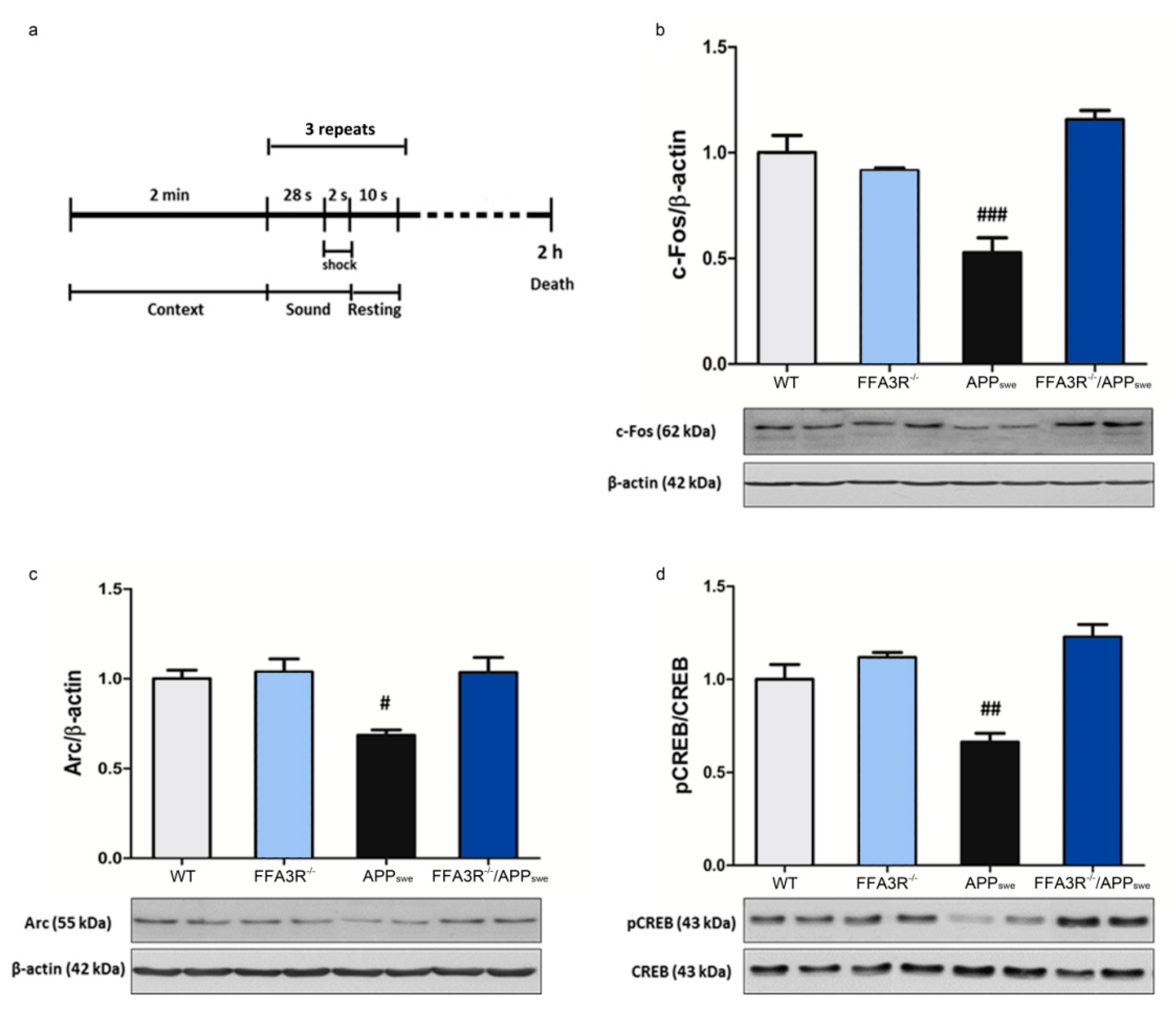 Ijms 23 03533 g006 Ijms 23 03533 g006