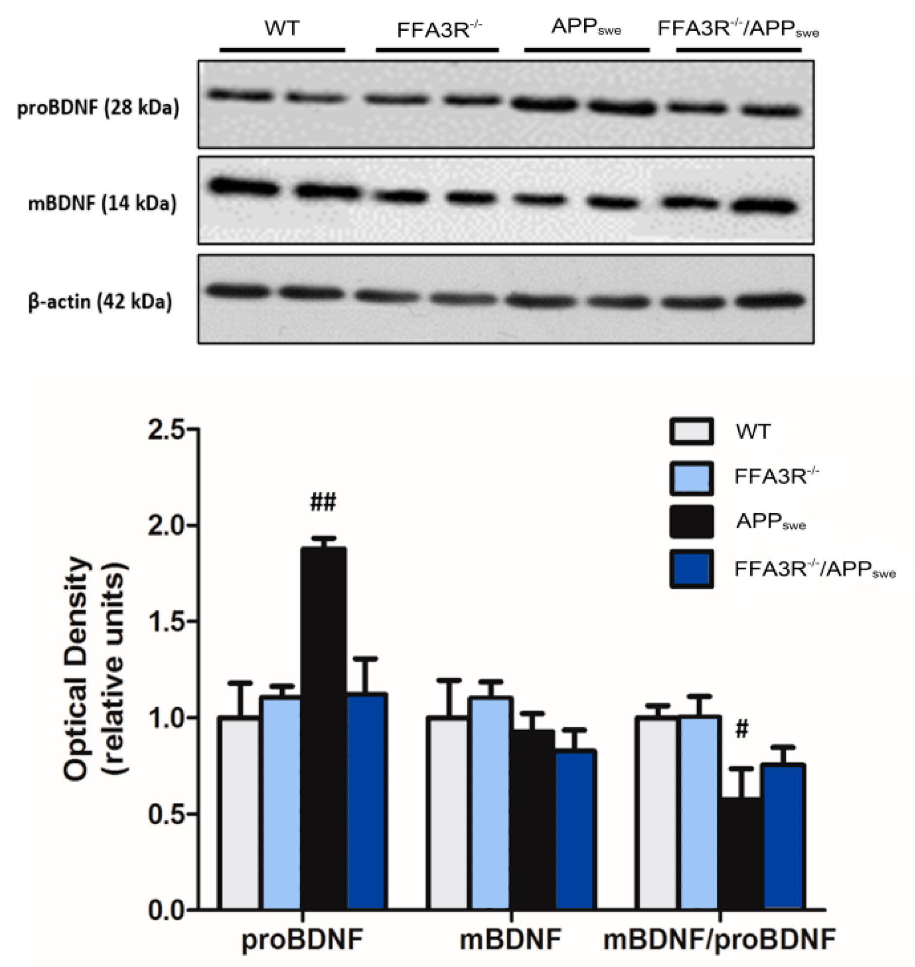 Ijms 23 03533 g007 Ijms 23 03533 g007
