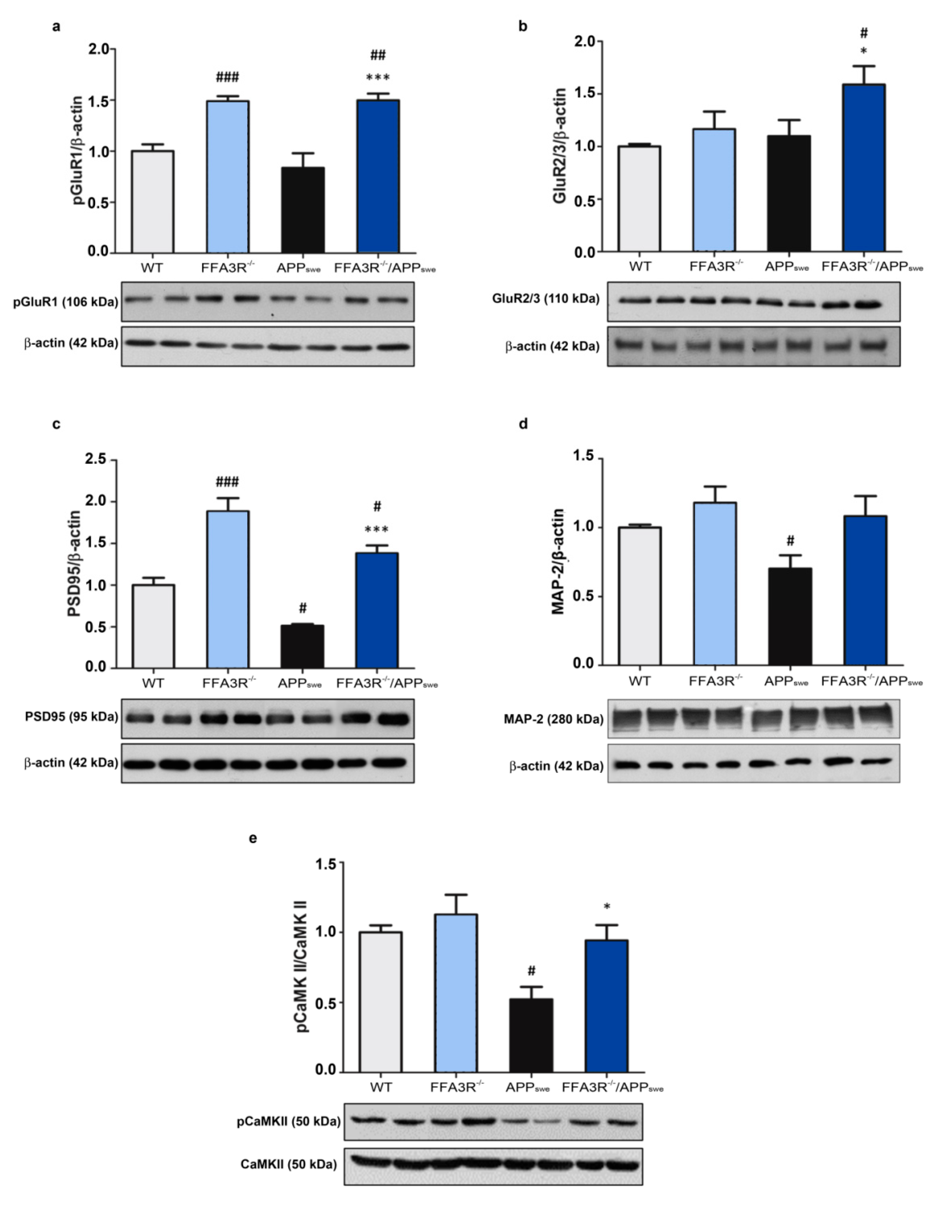 Ijms 23 03533 g008 Ijms 23 03533 g008