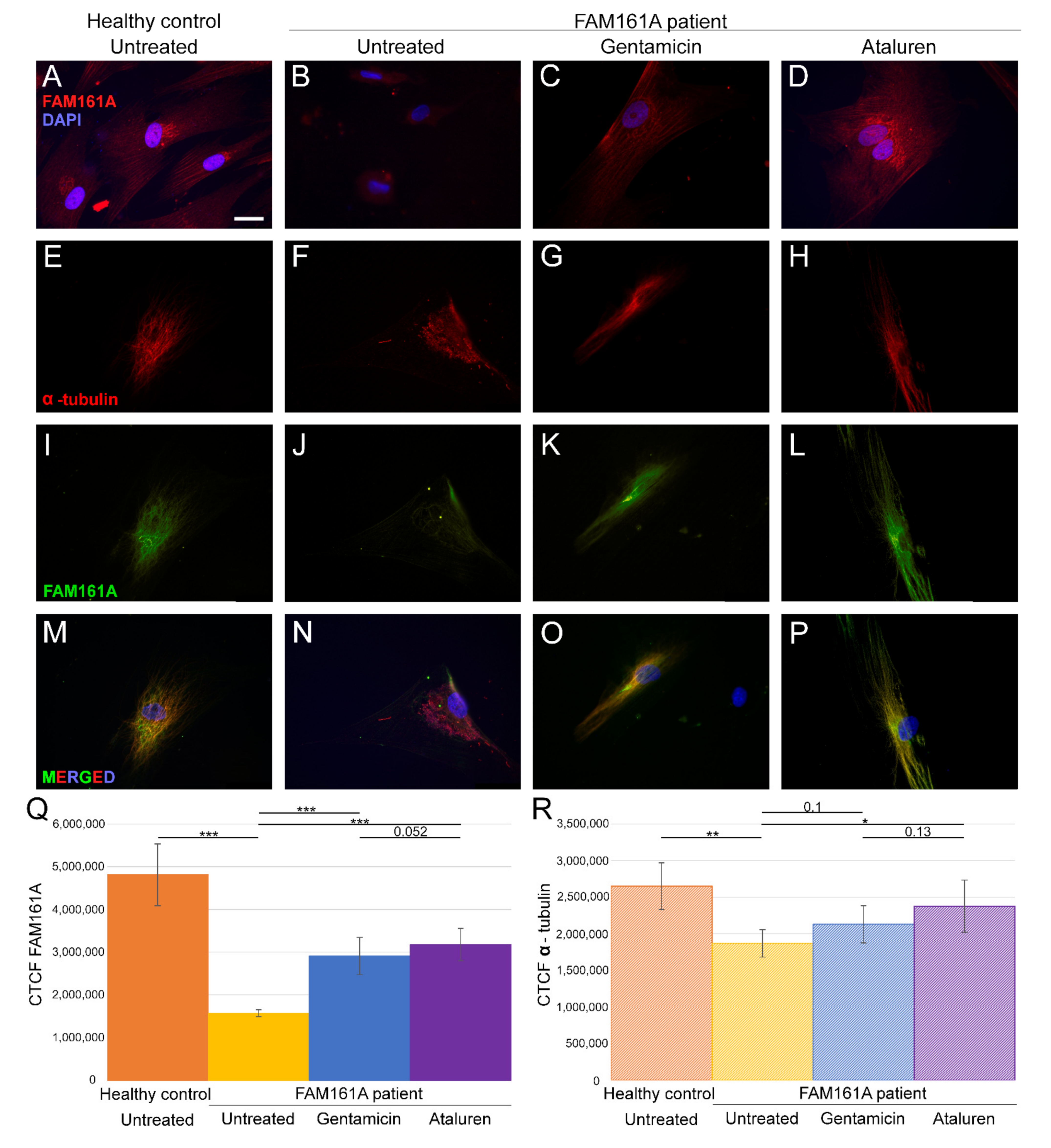 Ijms 23 03541 g001 Ijms 23 03541 g001