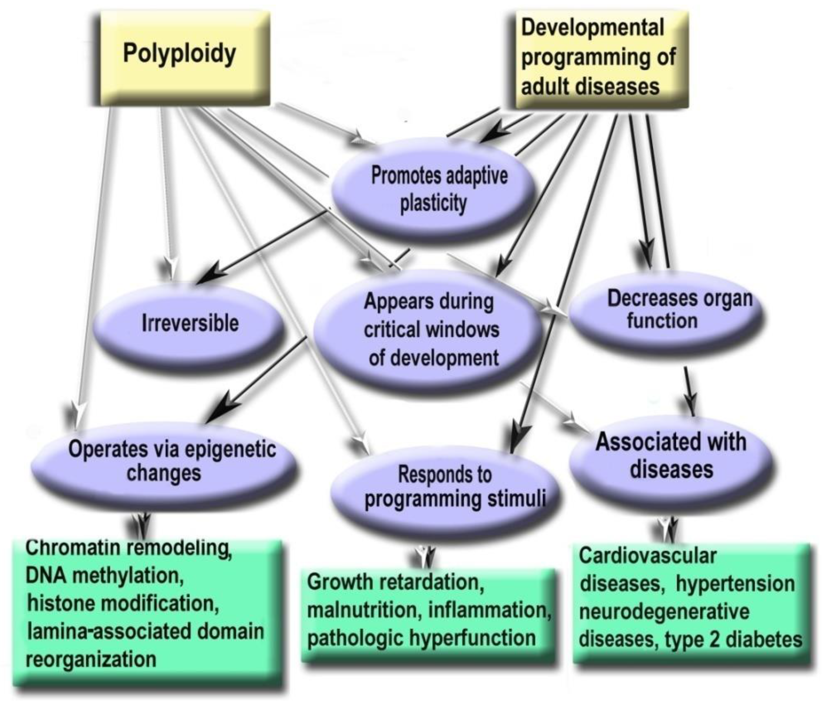 Заболевания связанные с полиплоидией. Науки связанные с эволюцией. Polyploidy.