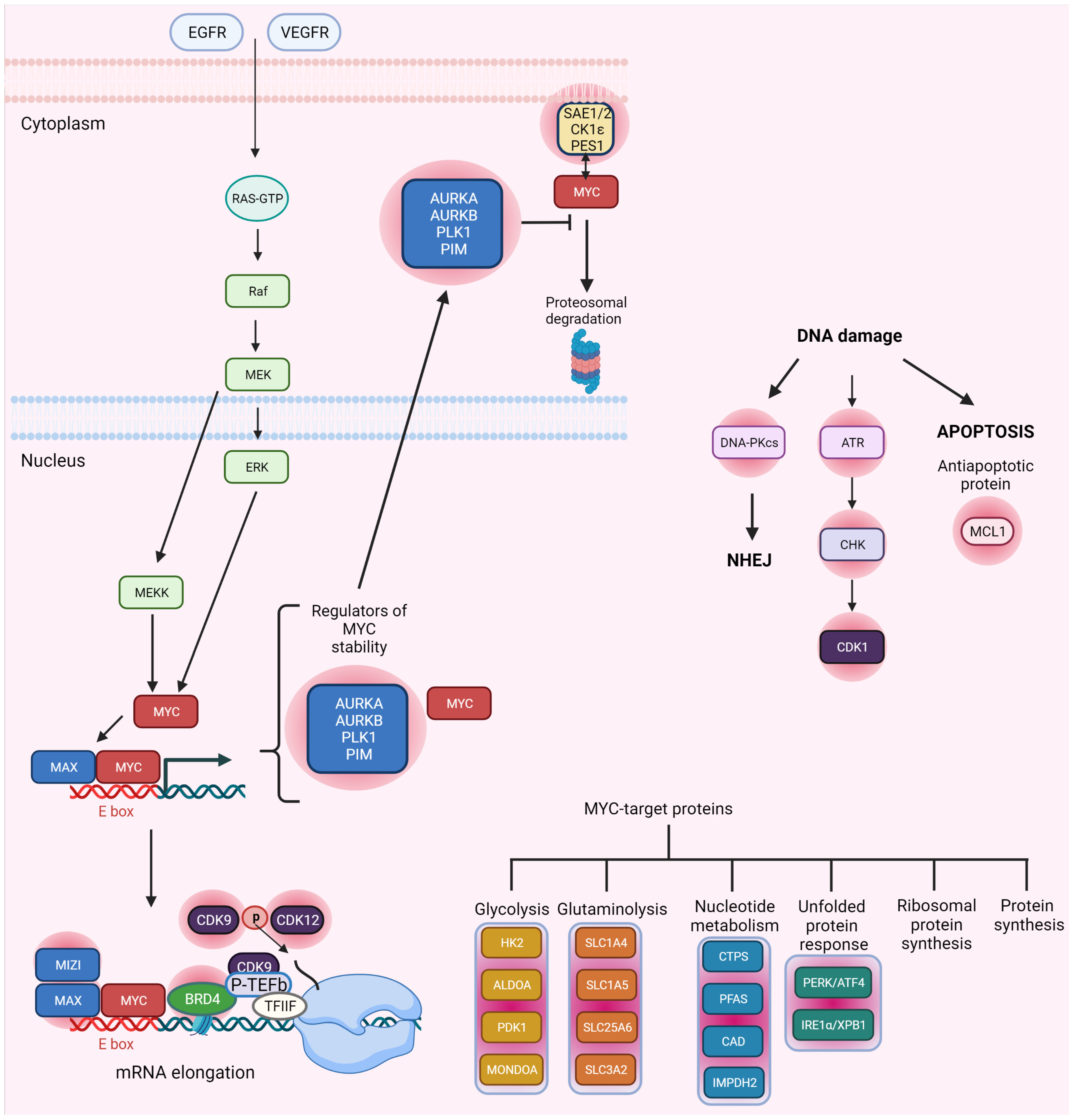 Ijms 23 03555 g002 Ijms 23 03555 g002