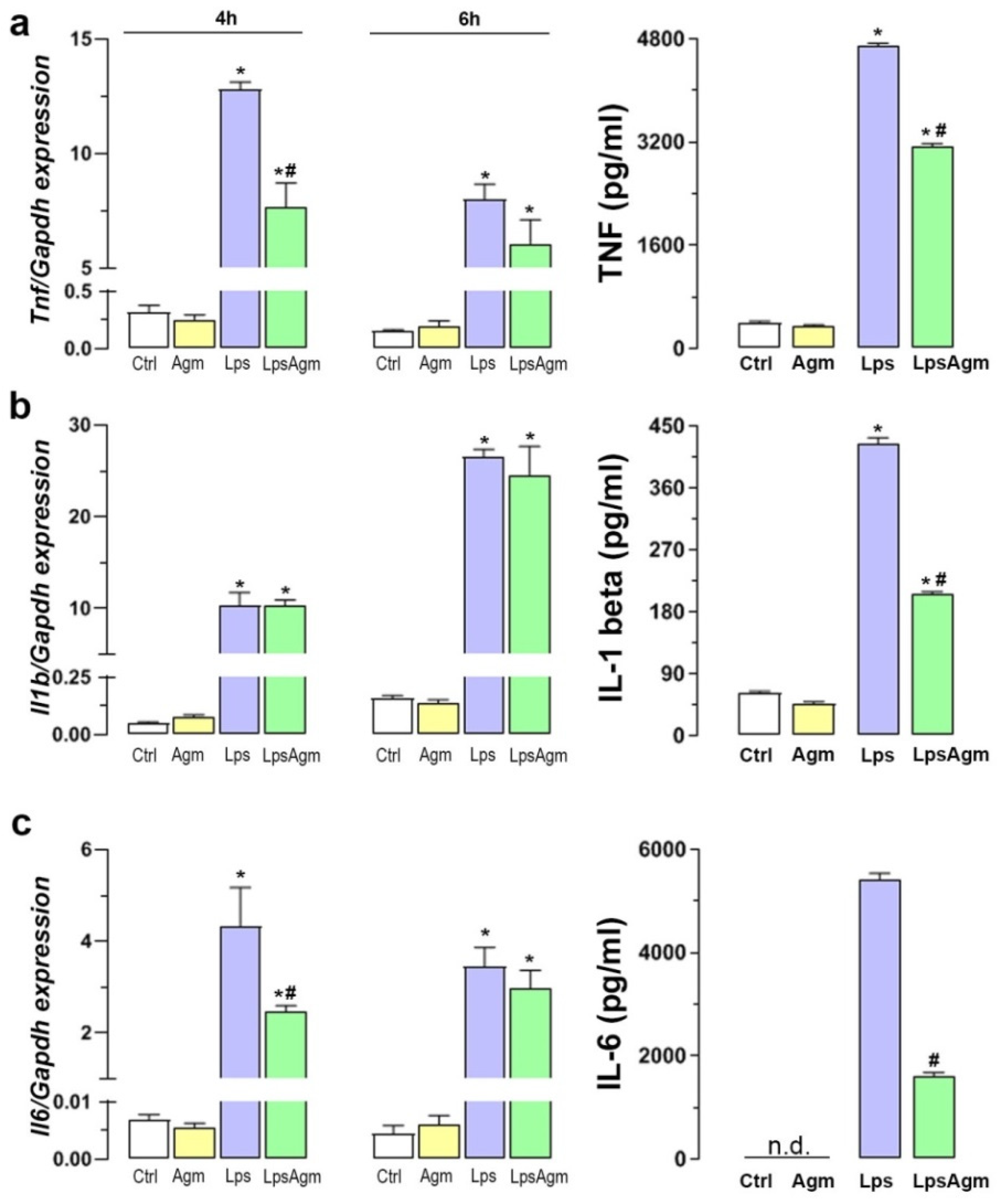 Ijms 23 03561 g007 550