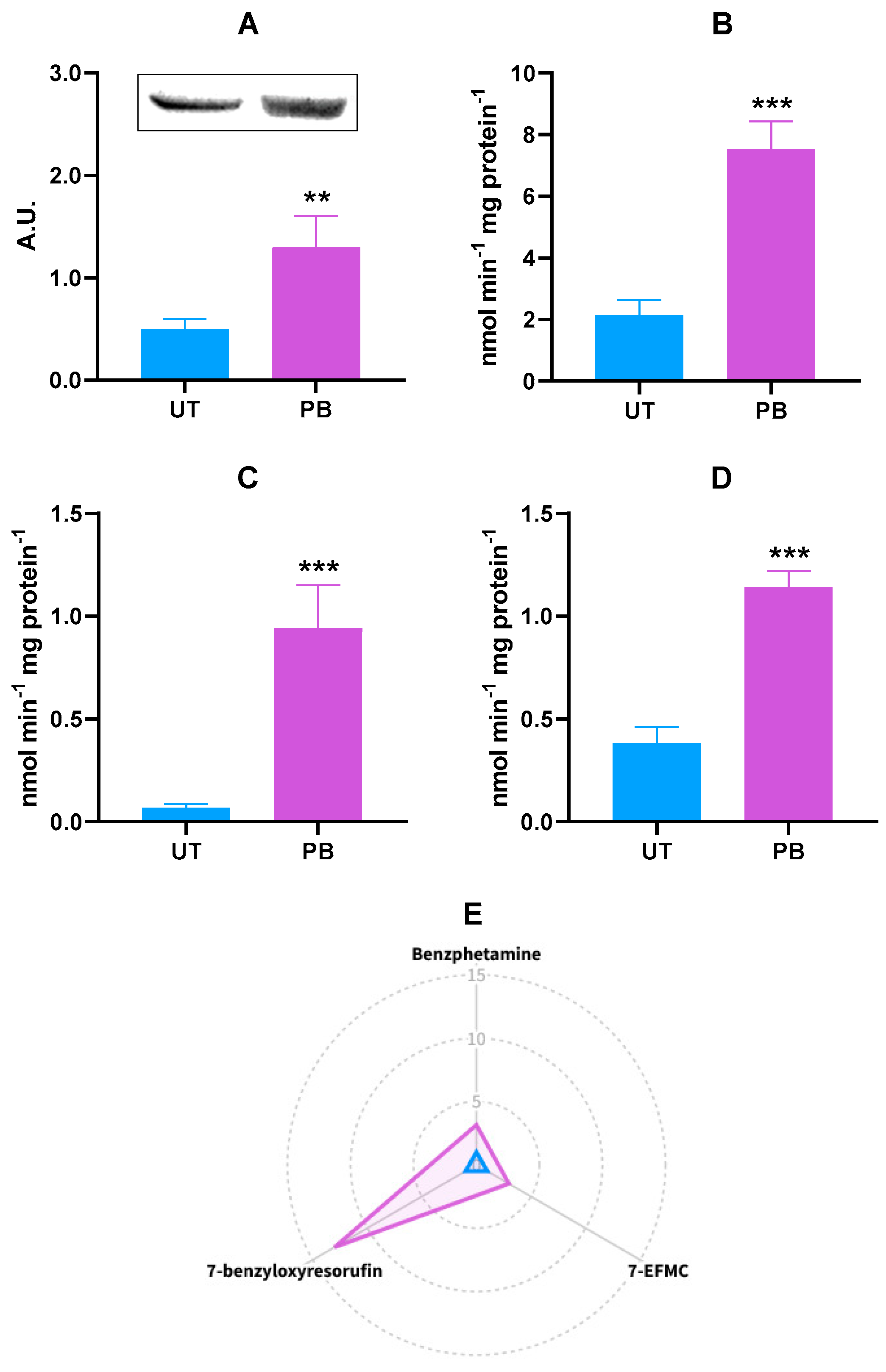 Obedience nature Park Airlines IJMS | Free Full-Text | Induction by Phenobarbital of Phase I and II Xenobiotic-Metabolizing Enzymes in Bovine Liver: An Overall Catalytic and Immunochemical Characterization | HTML Obedience nature Park Airlines IJMS | Free Full-Text | Induction by Phenobarbital of Phase I and II Xenobiotic-Metabolizing Enzymes in Bovine Liver: An Overall Catalytic and Immunochemical Characterization | HTML
